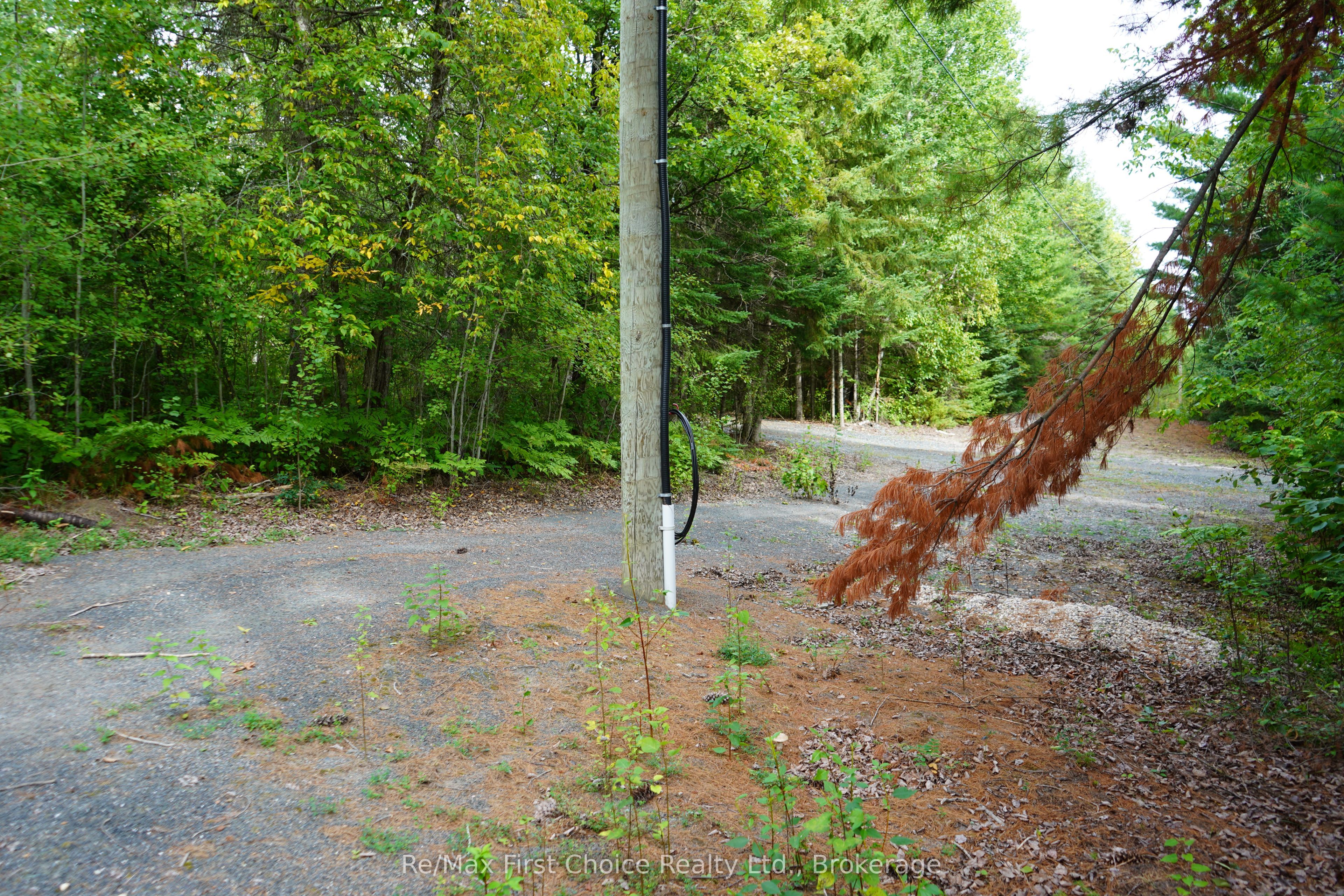 0 Dubois Road Property Photo 5
