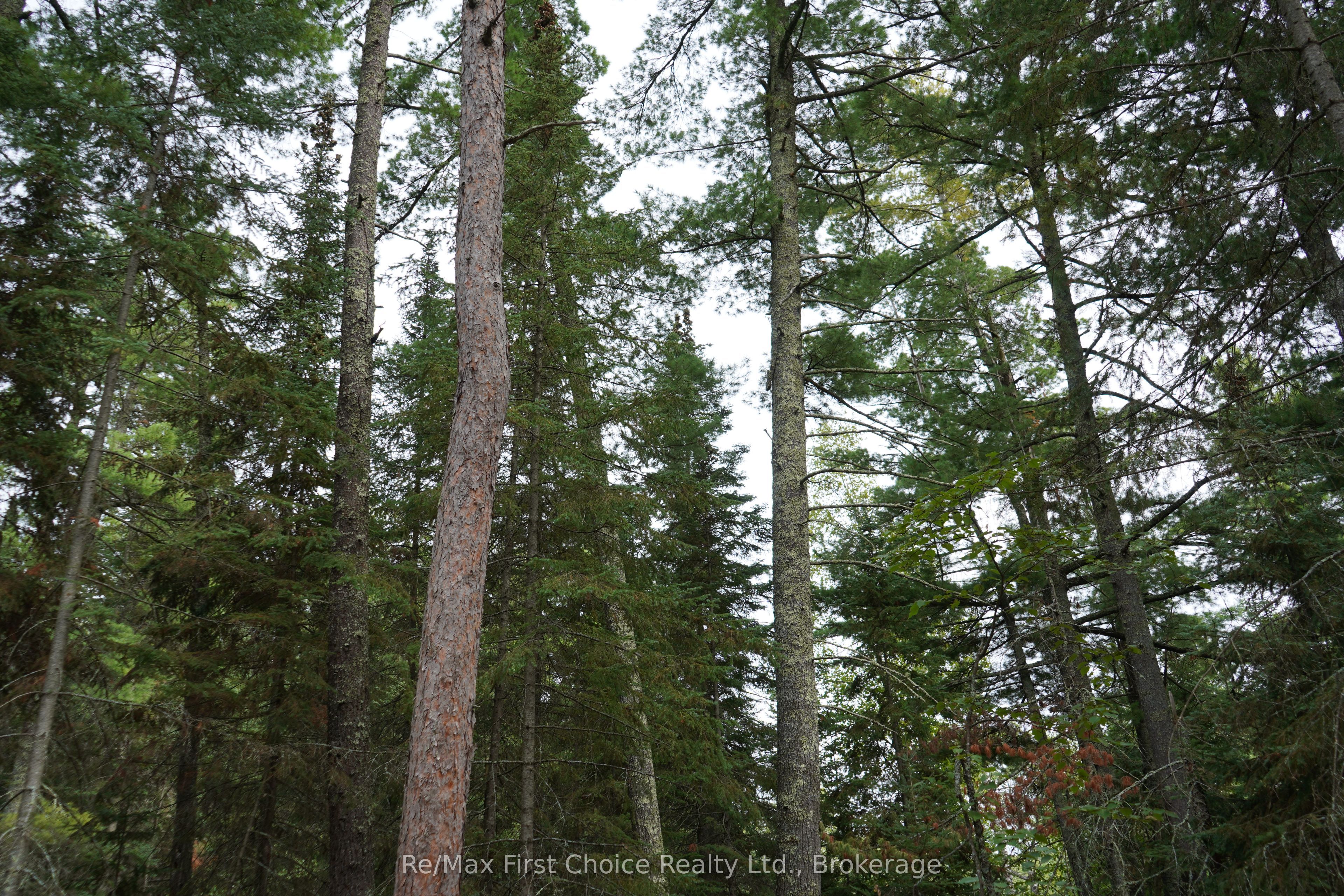 0 Dubois Road Property Photo 23