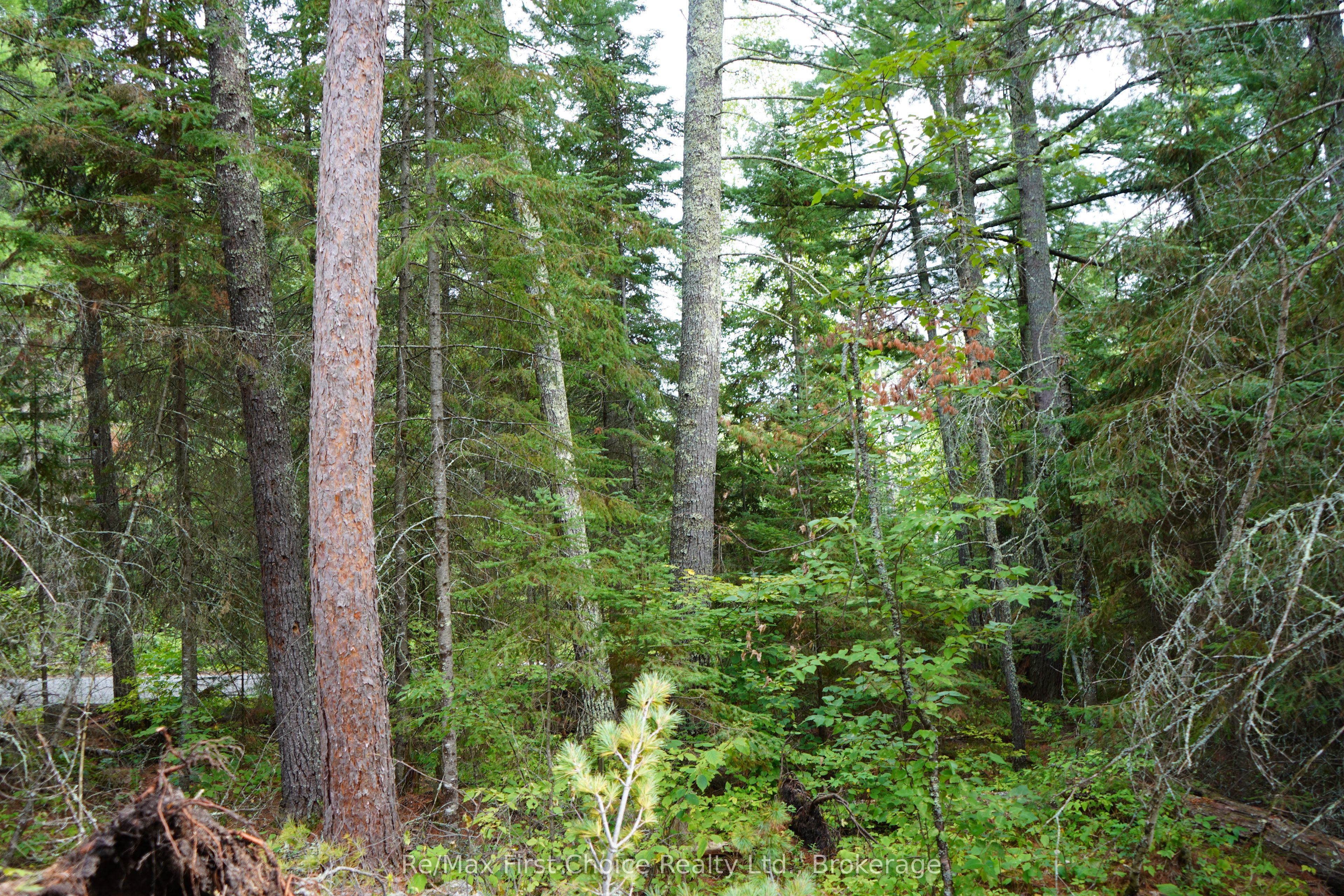 0 Dubois Road Property Photo 24