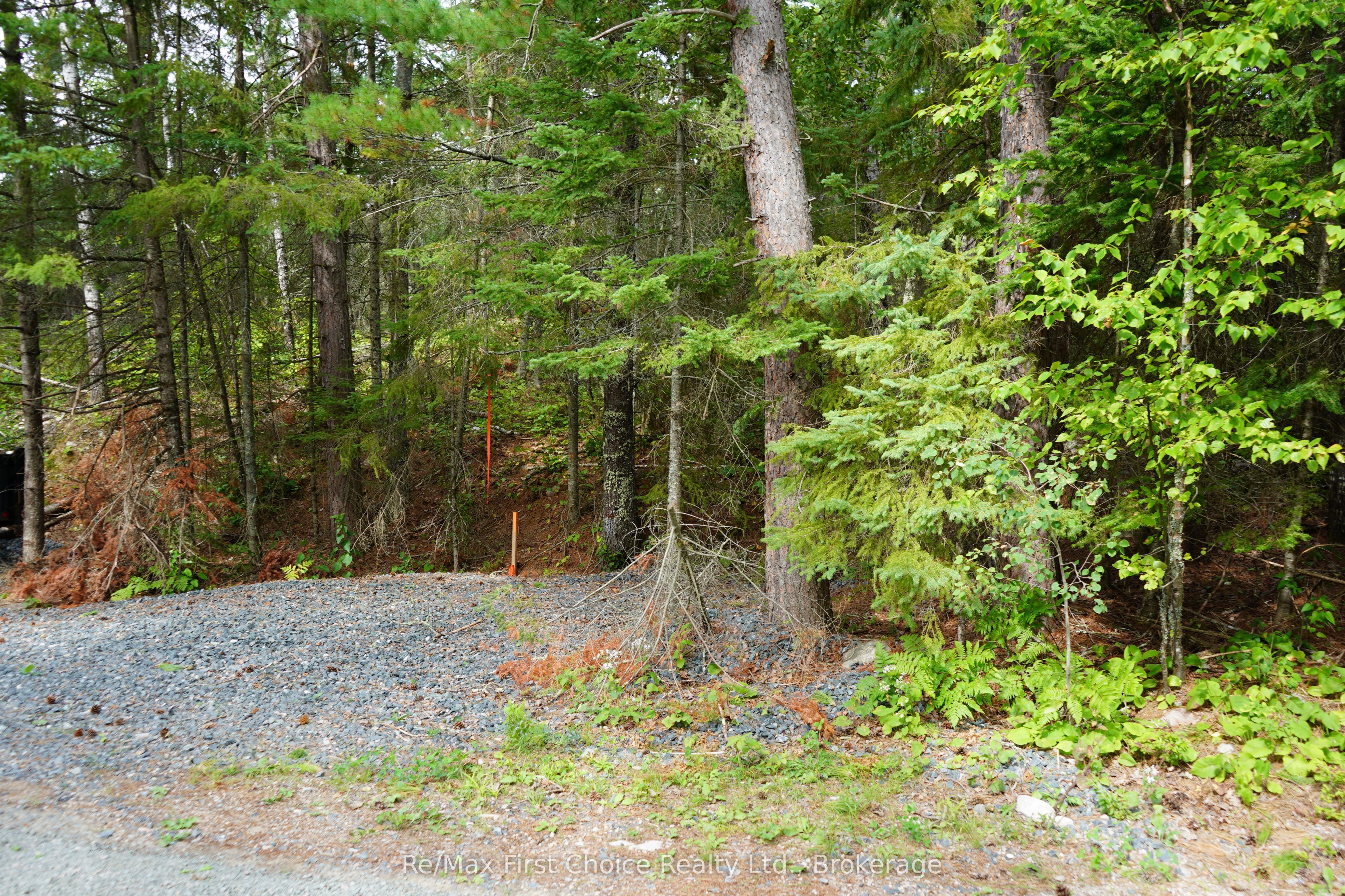 0 Dubois Road Property Photo 25