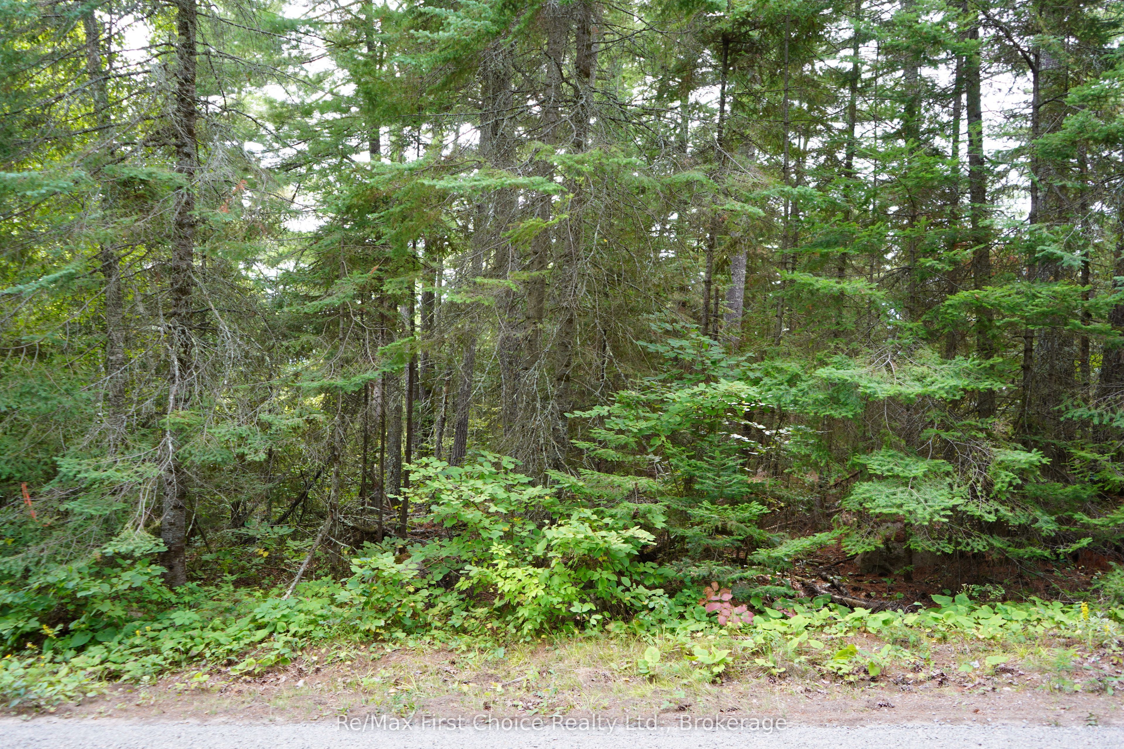 0 Dubois Road Property Photo 27