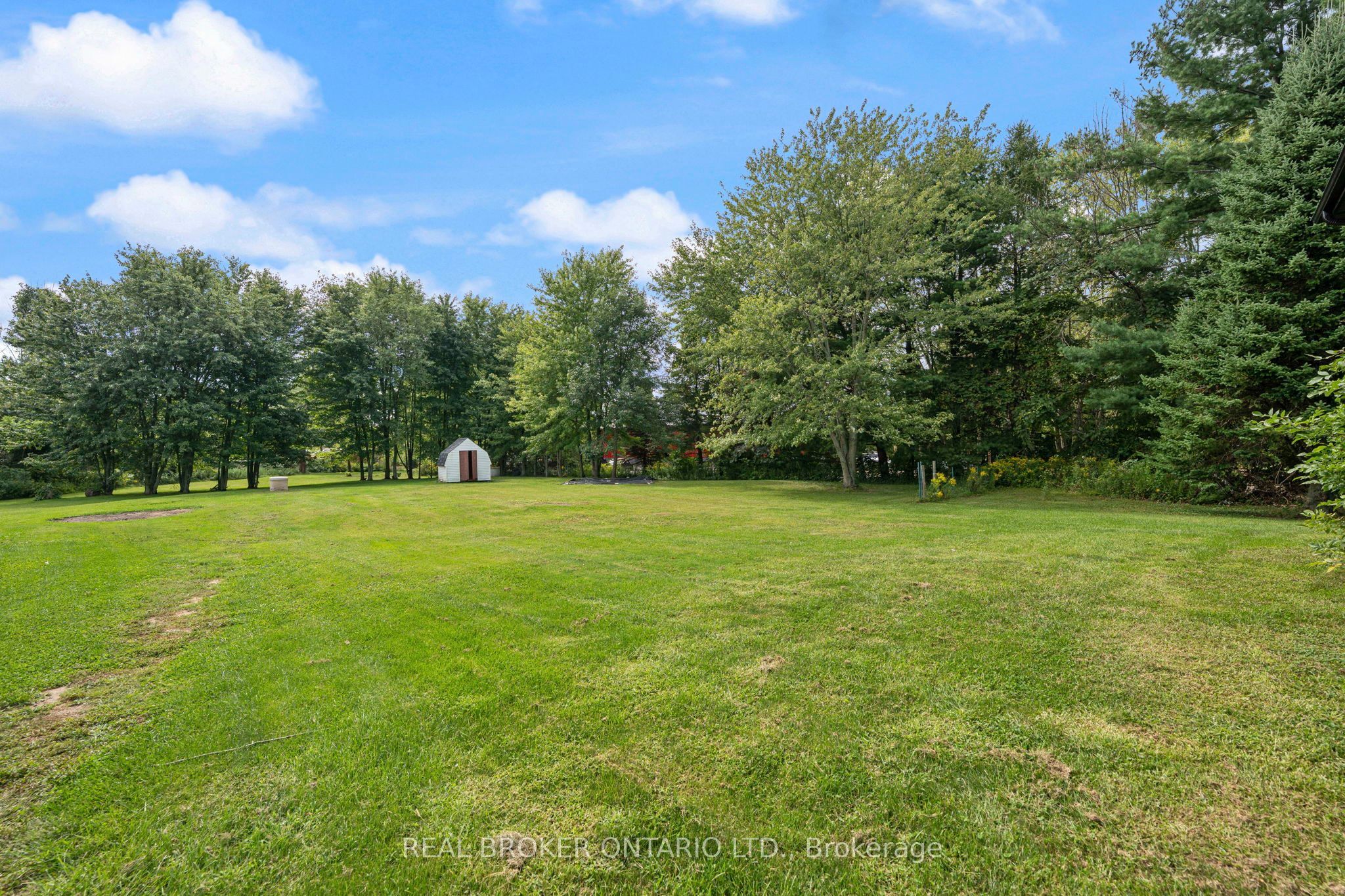 54601 Vienna Line Property Photo 29