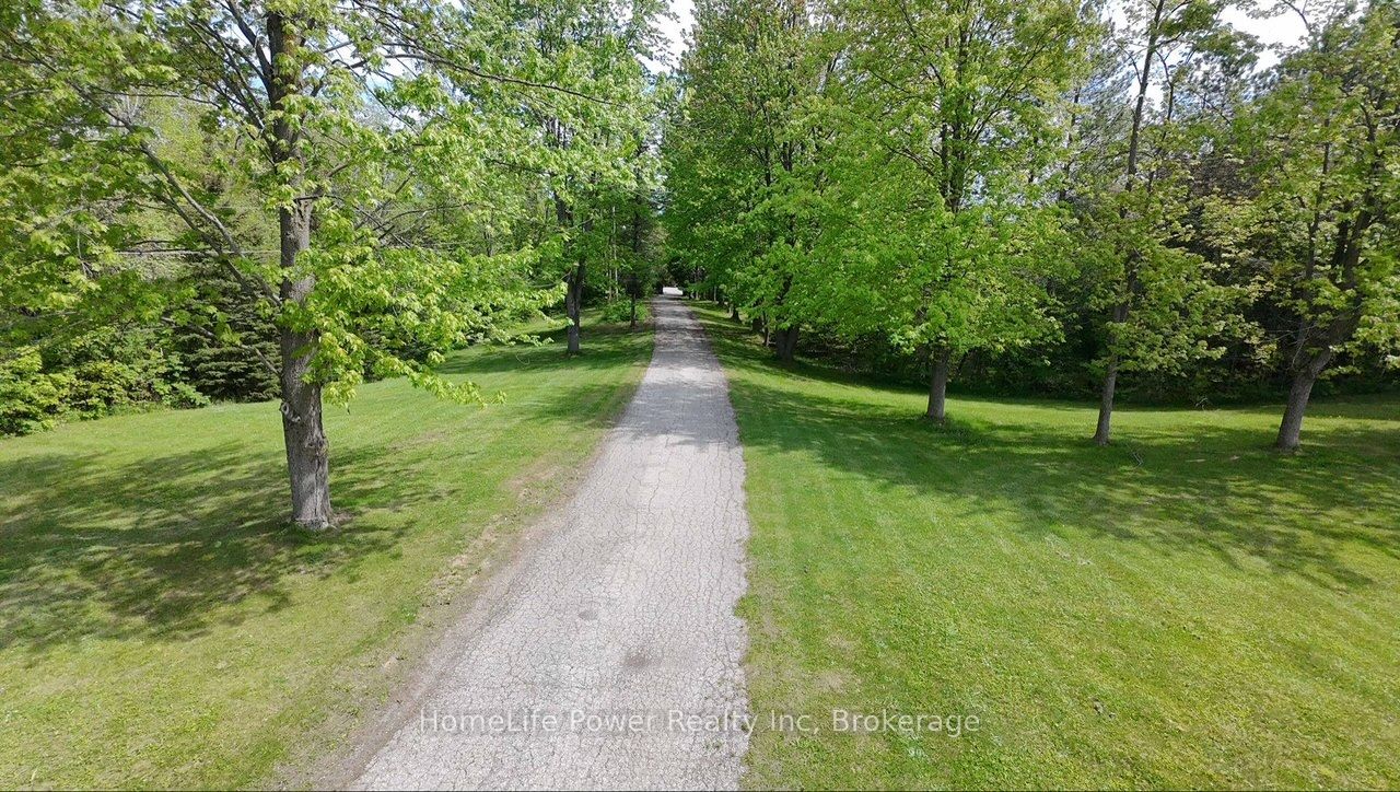 4290 Victoria Road S Property Photo 6