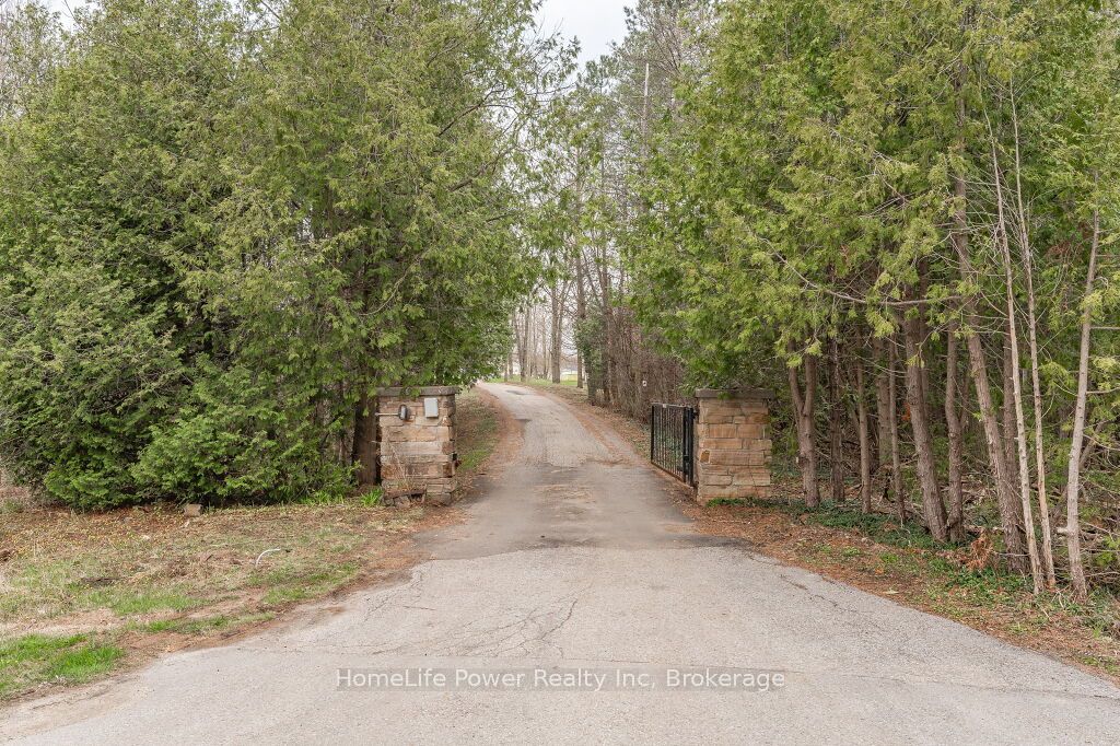4290 Victoria Road S Property Photo 7