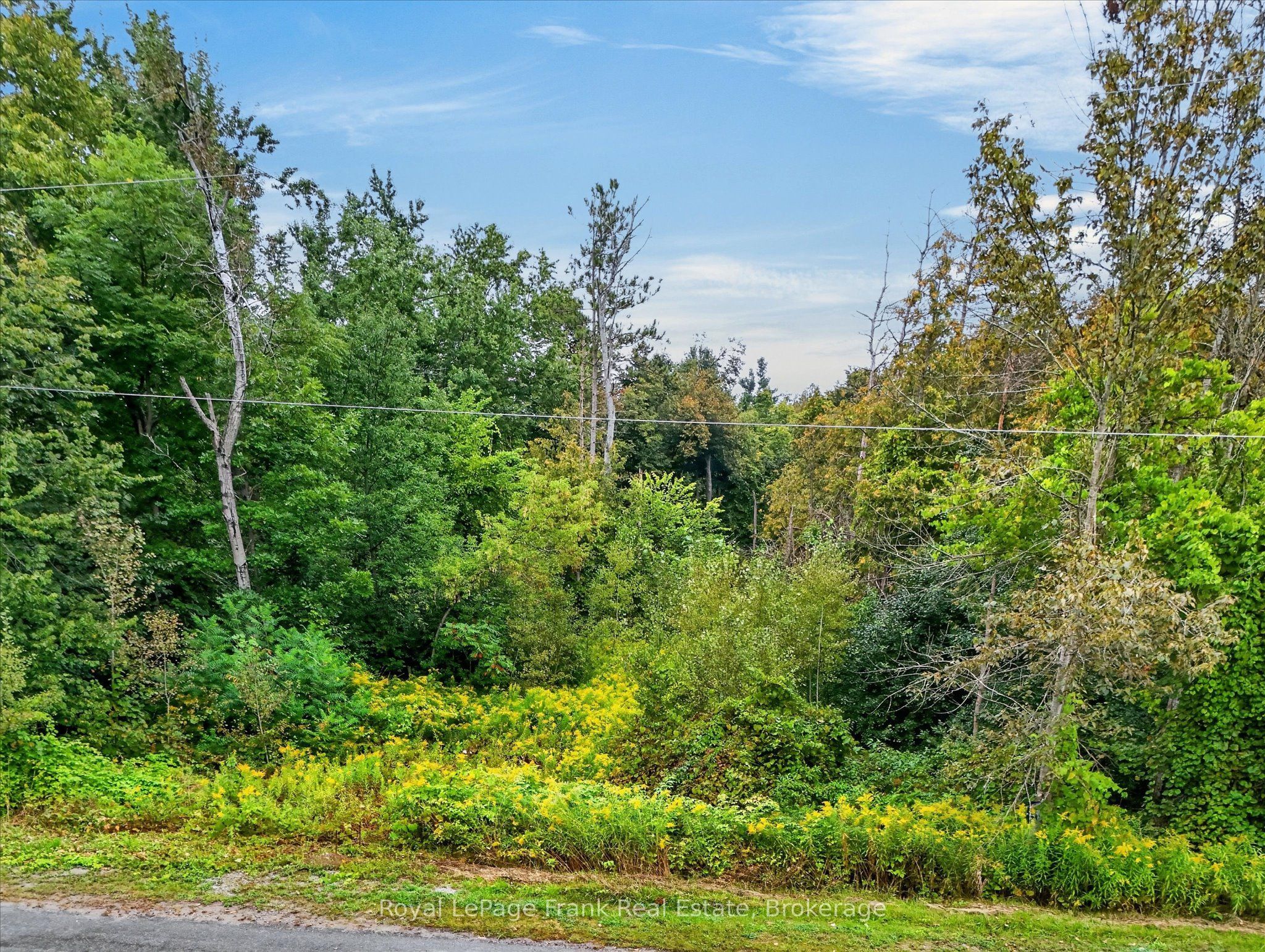 Pt Lt 26 Seaforth Crescent Property Photo 4
