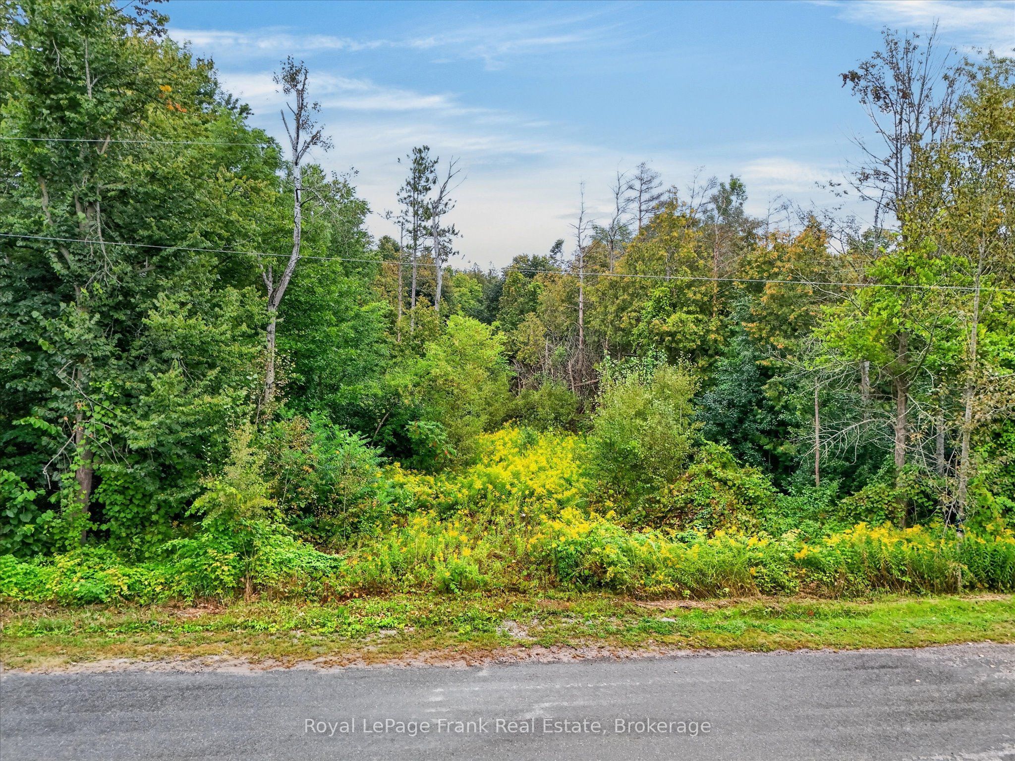 Pt Lt 26 Seaforth Crescent Property Photo 6