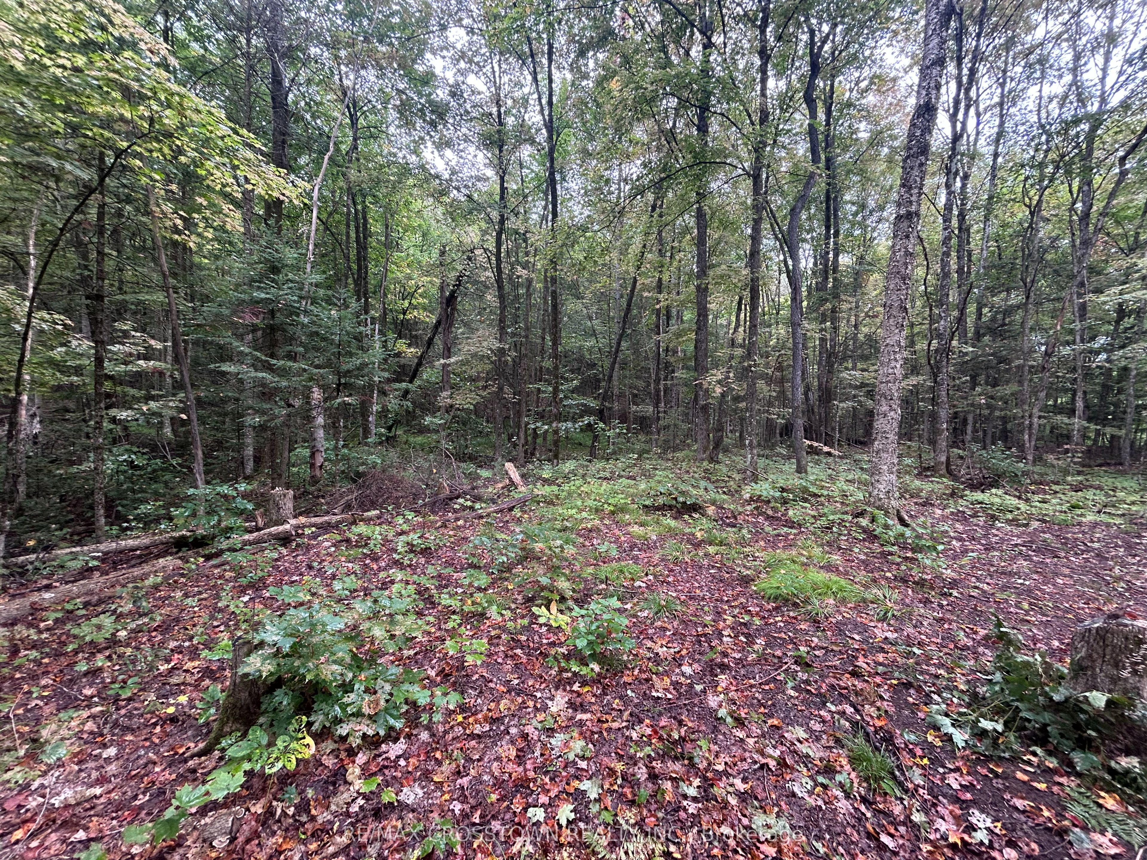 0 Queens Line Road Property Photo 6