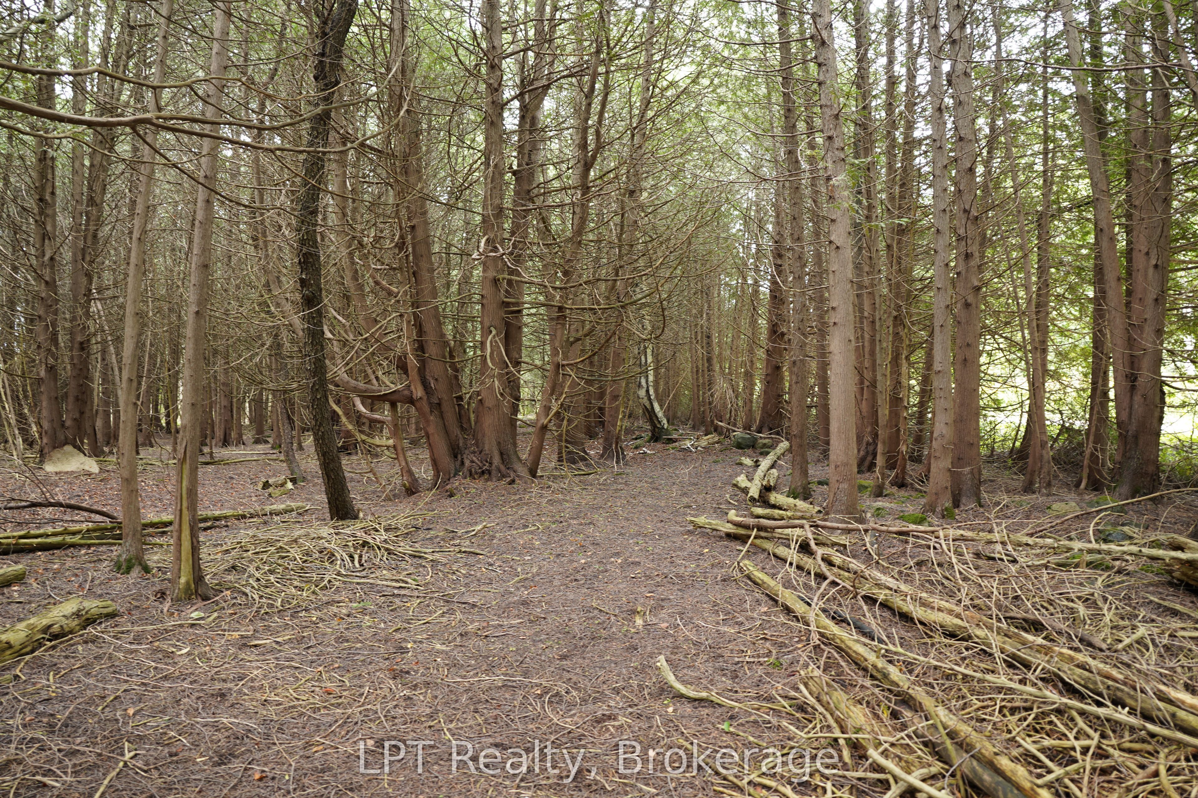 Pt Lt 48-50 Crawford Road Property Photo 16