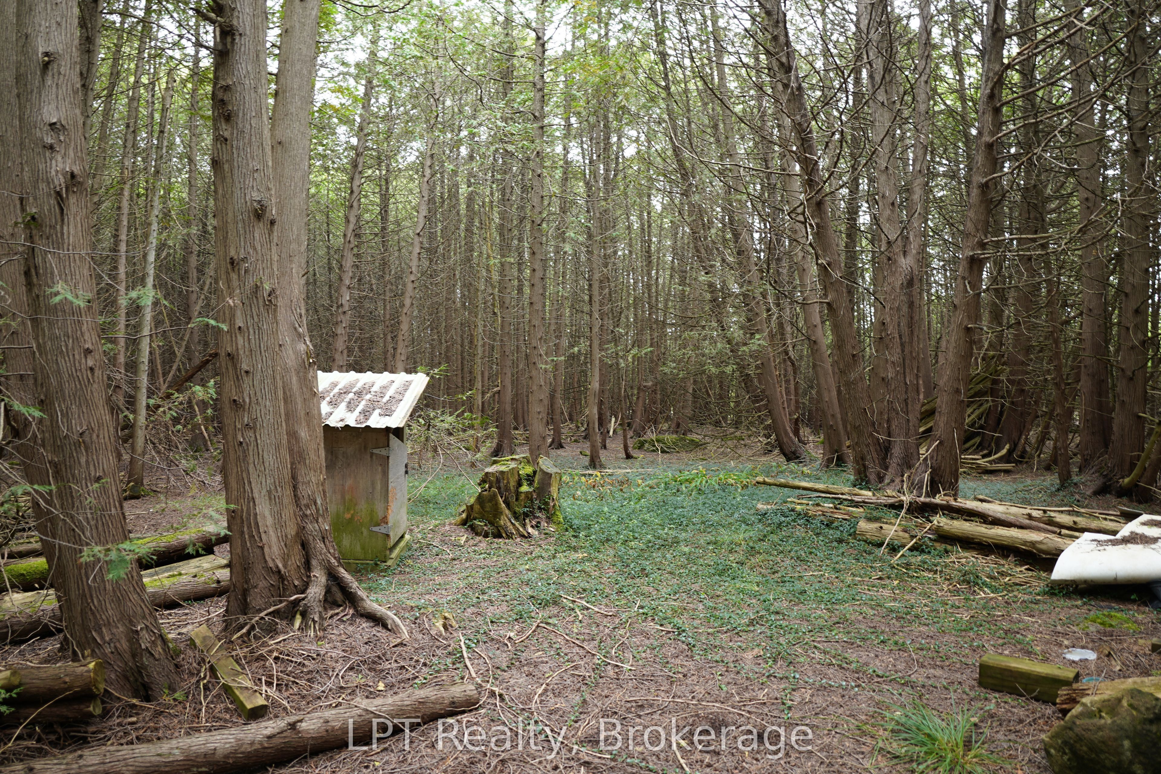 Pt Lt 48-50 Crawford Road Property Photo 18