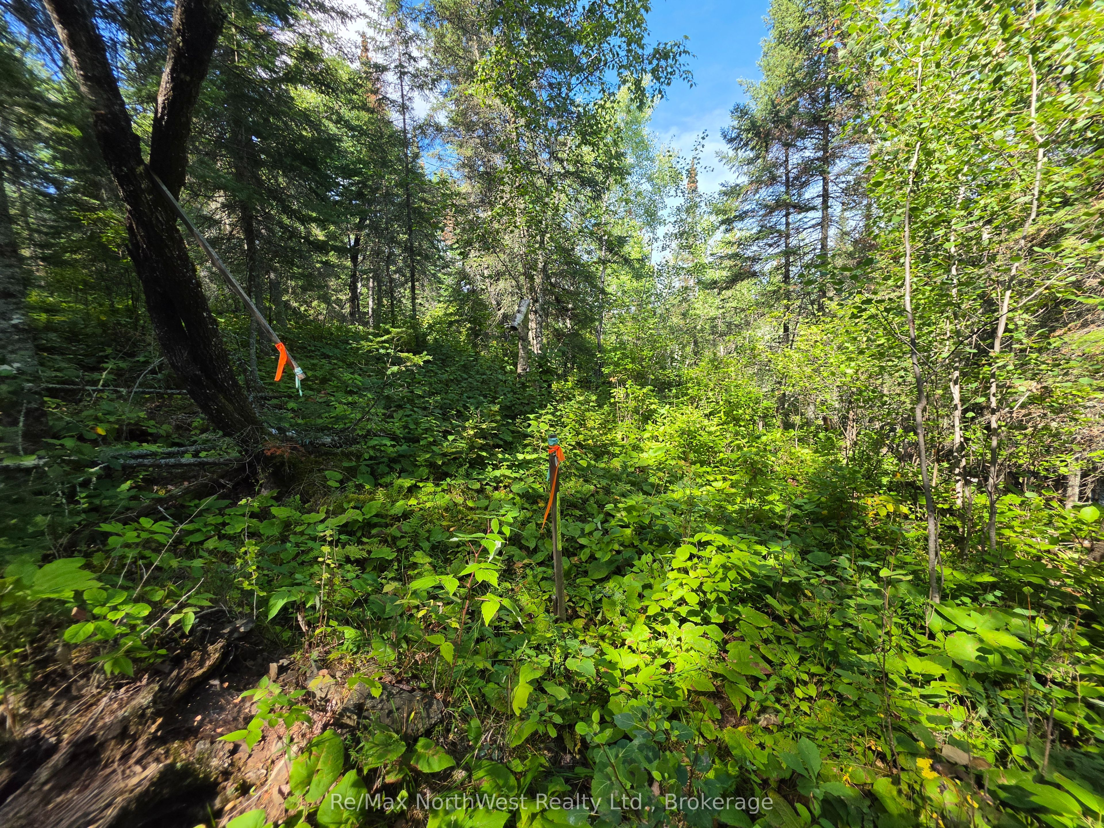 Lot 18 Regina Heights Boulevard Property Photo 10