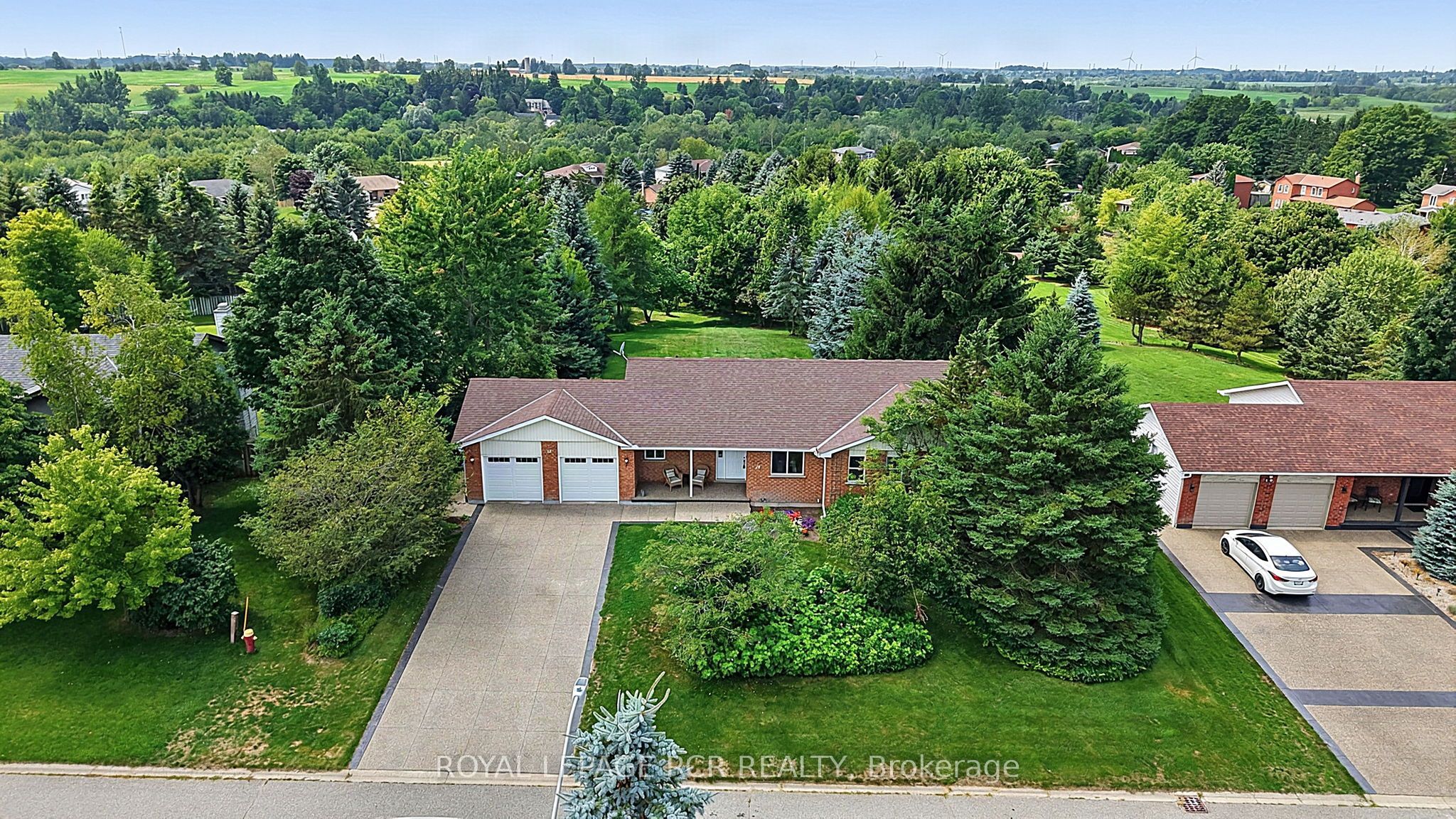 12 Peter Street Property Photo 1