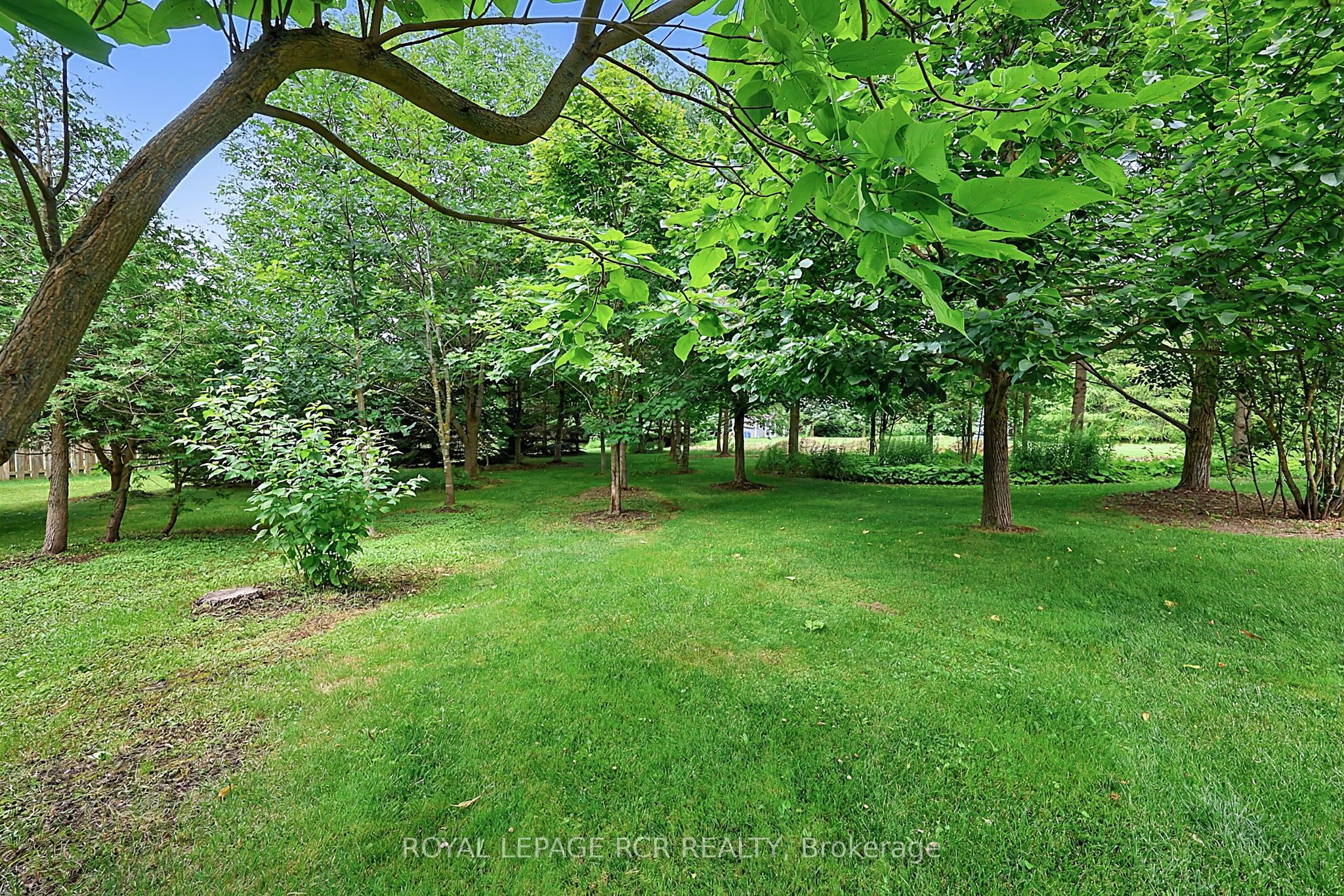 12 Peter Street Property Photo 39