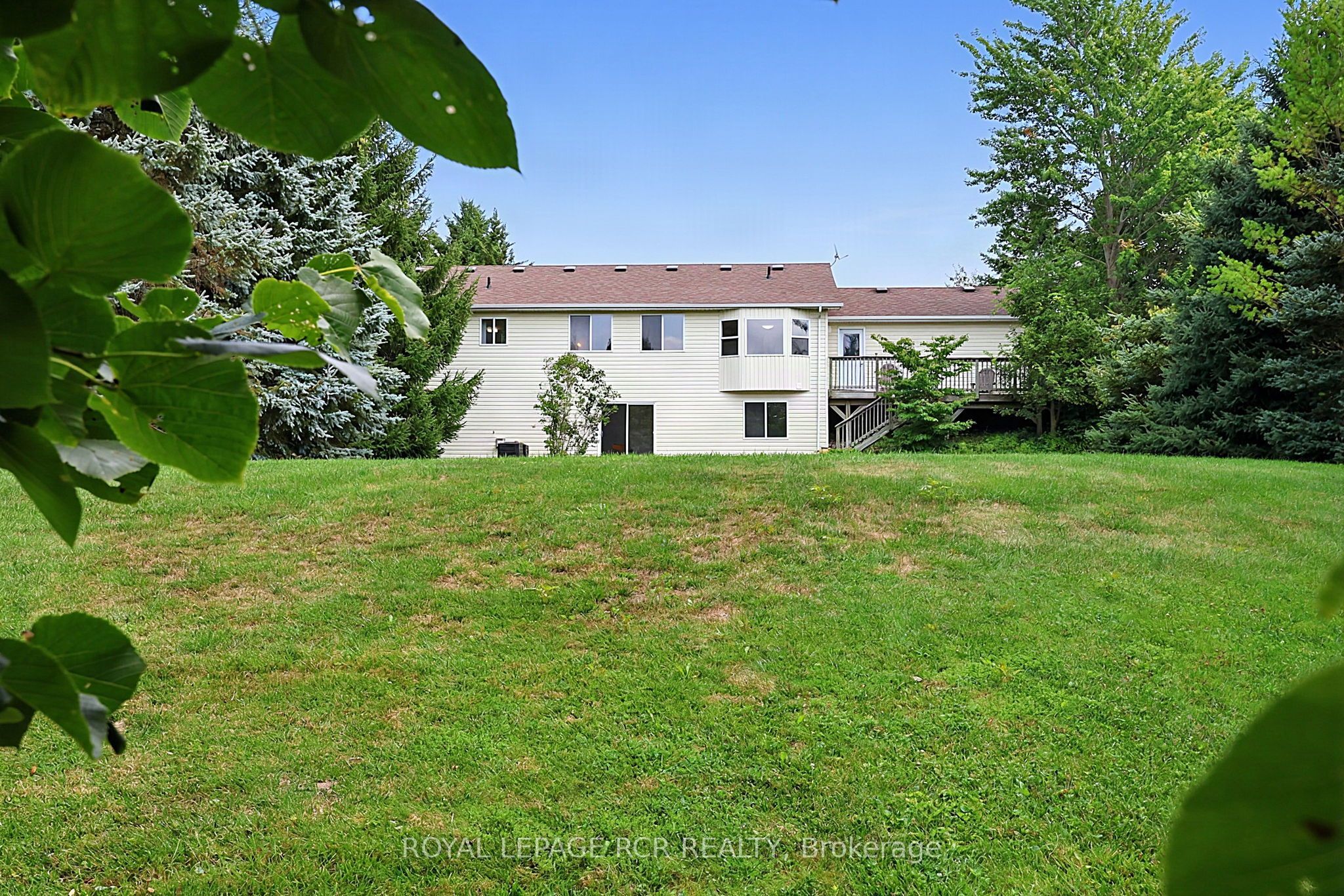 12 Peter Street Property Photo 41