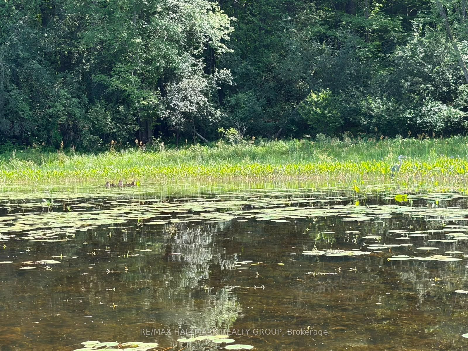 180 Kedey Island Property Photo 3