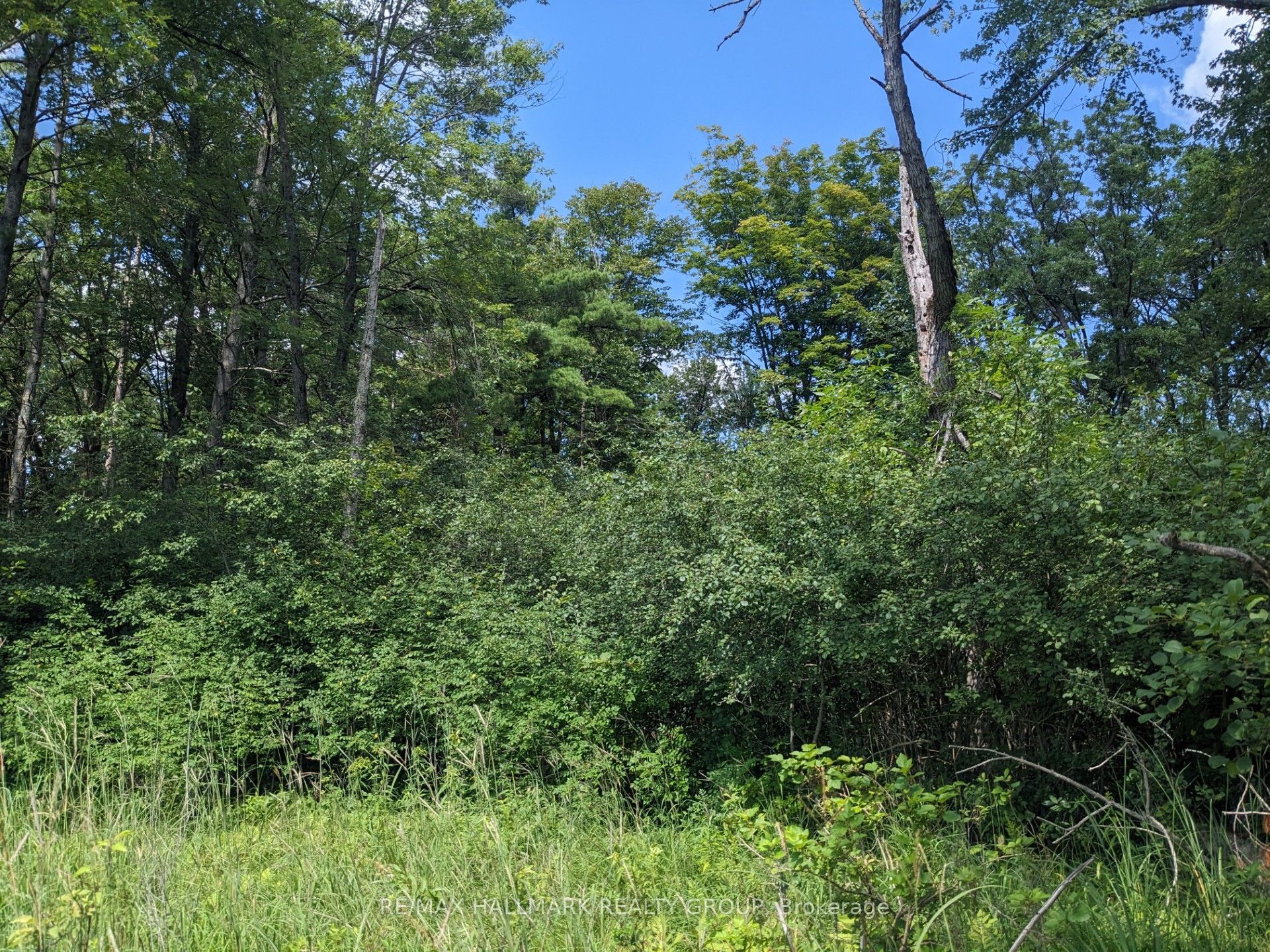 180 Kedey Island Property Photo 4