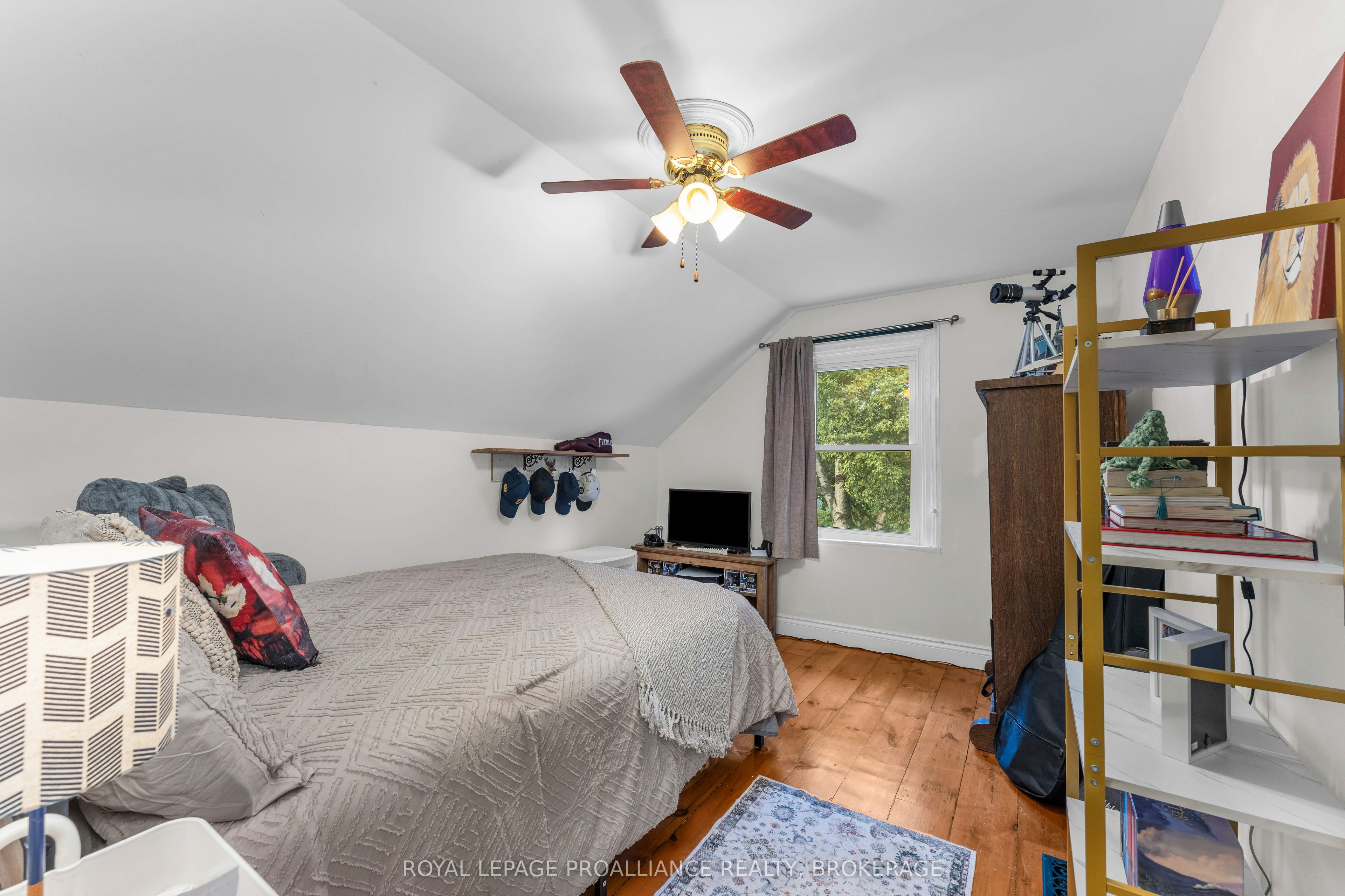 4 Miller Street Property Photo 24
