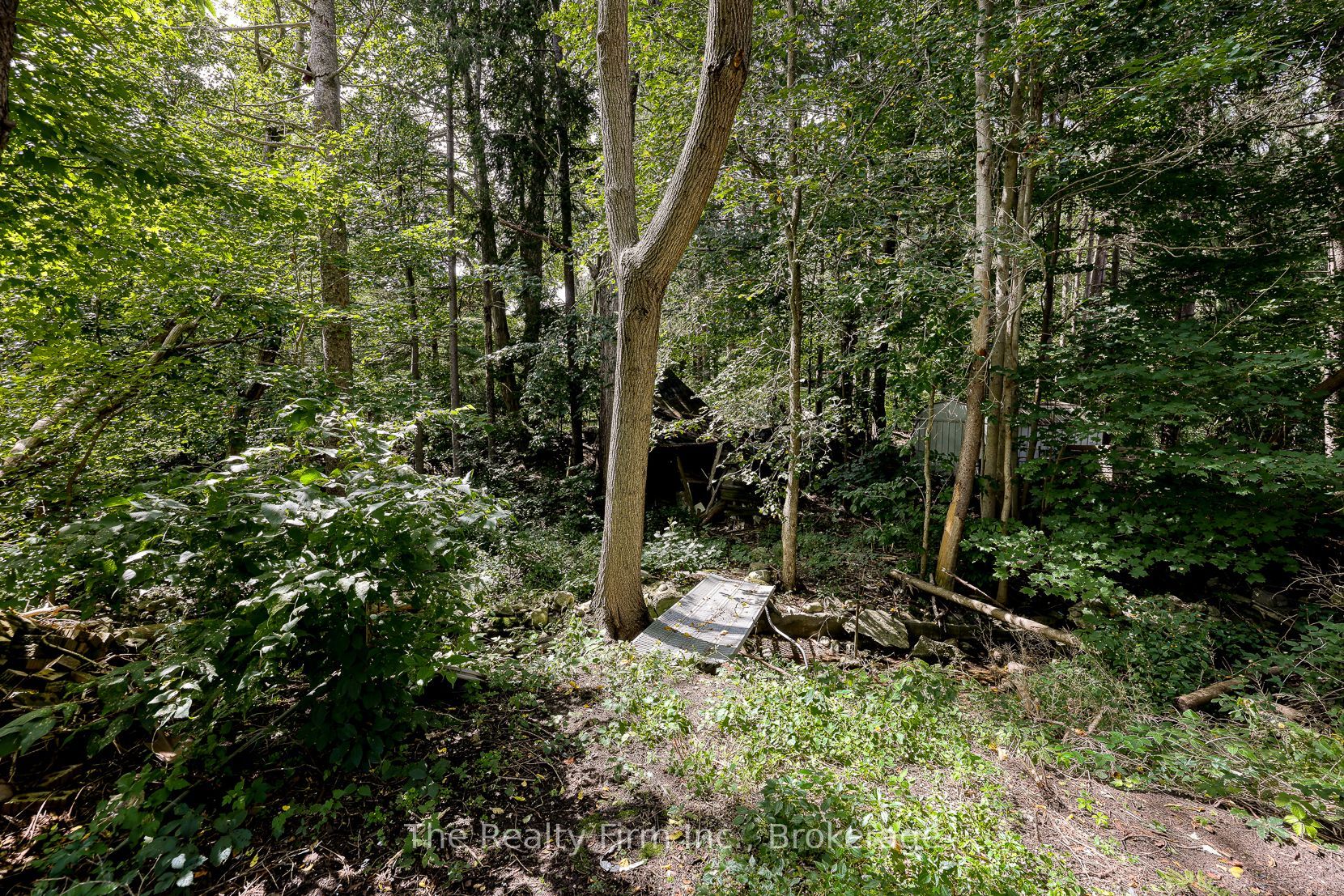 167 John Street Property Photo 5
