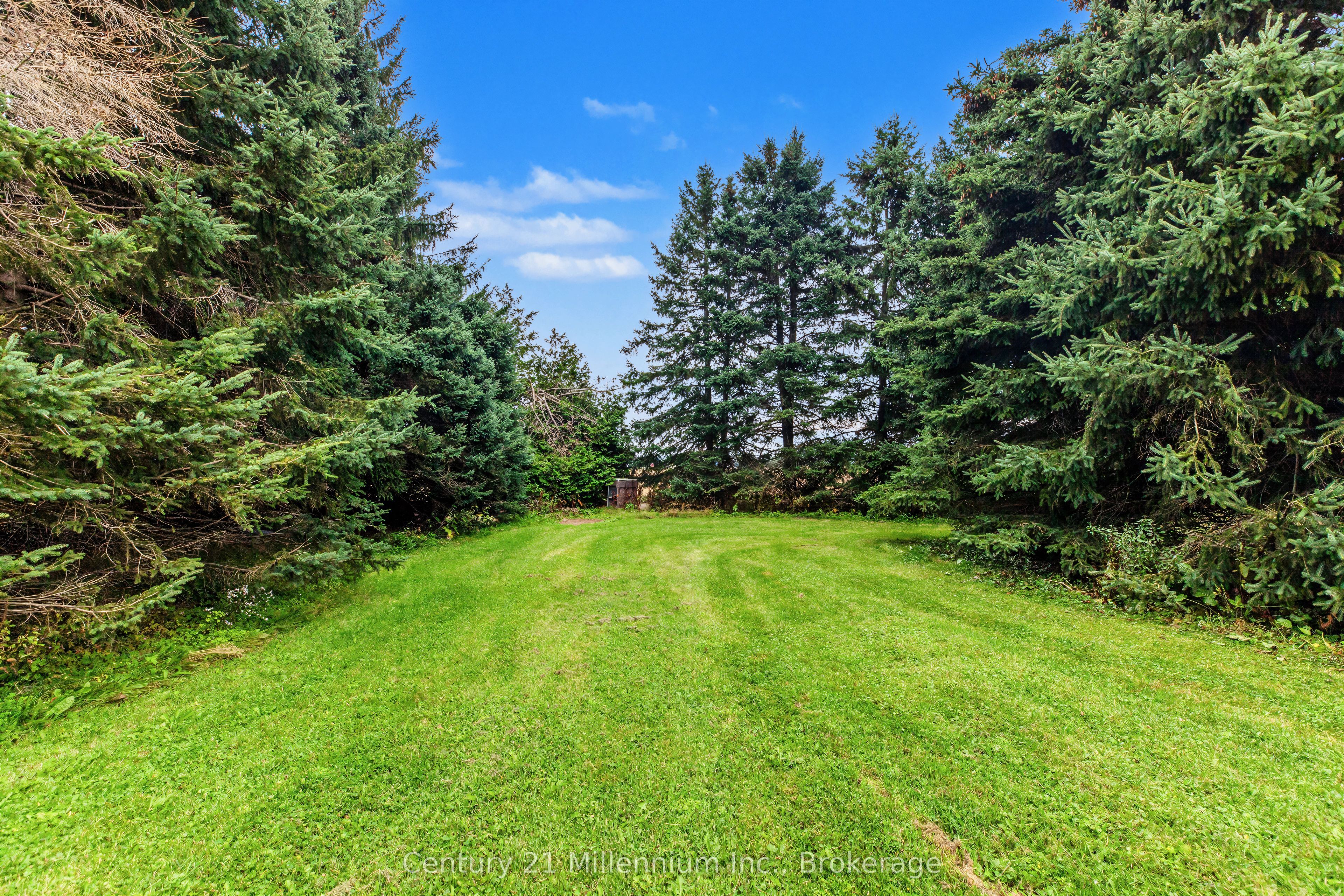 558082 Mulmur-melancthon Townline Property Photo 42