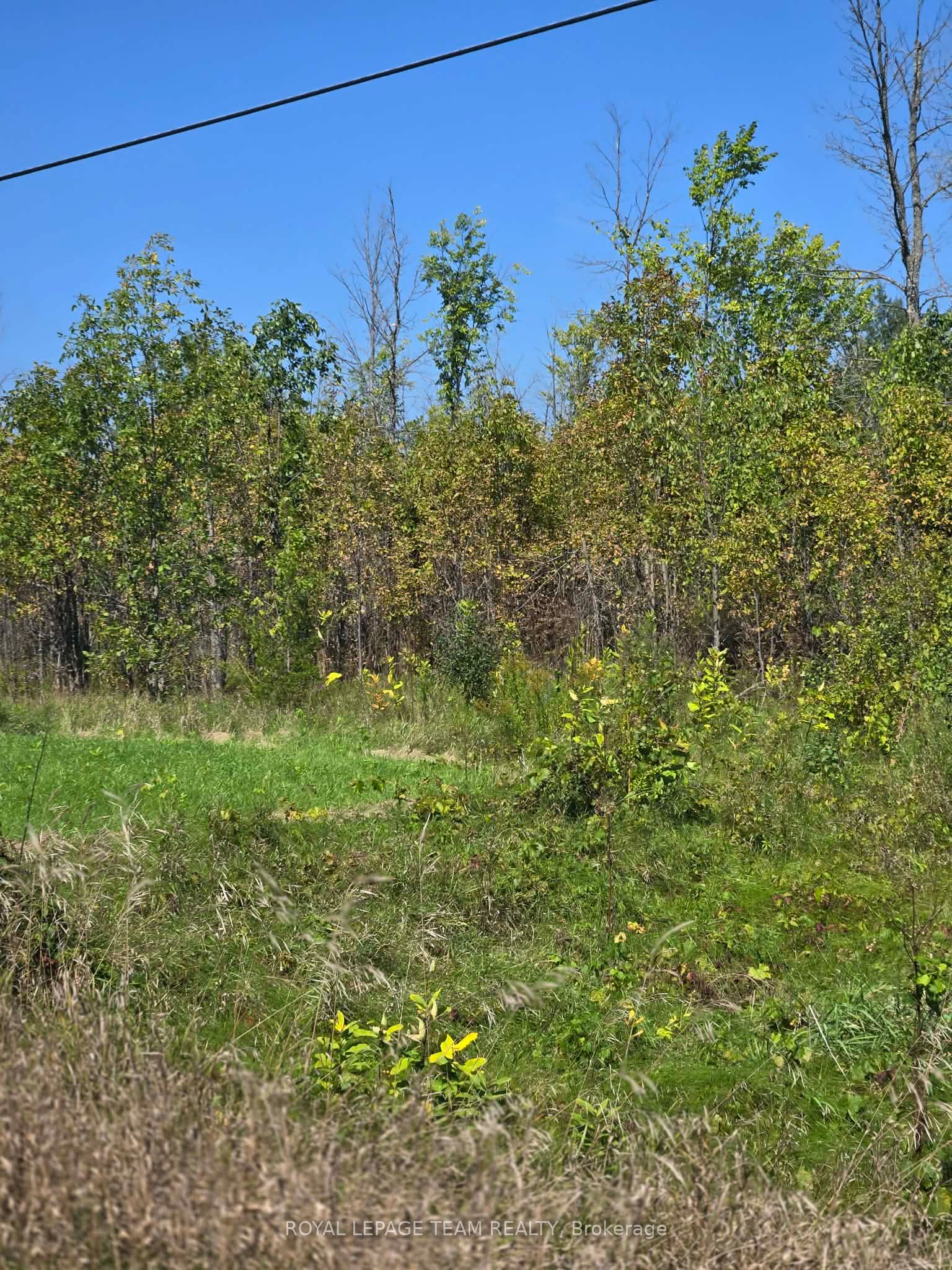 00 County 43 Road Property Photo 2
