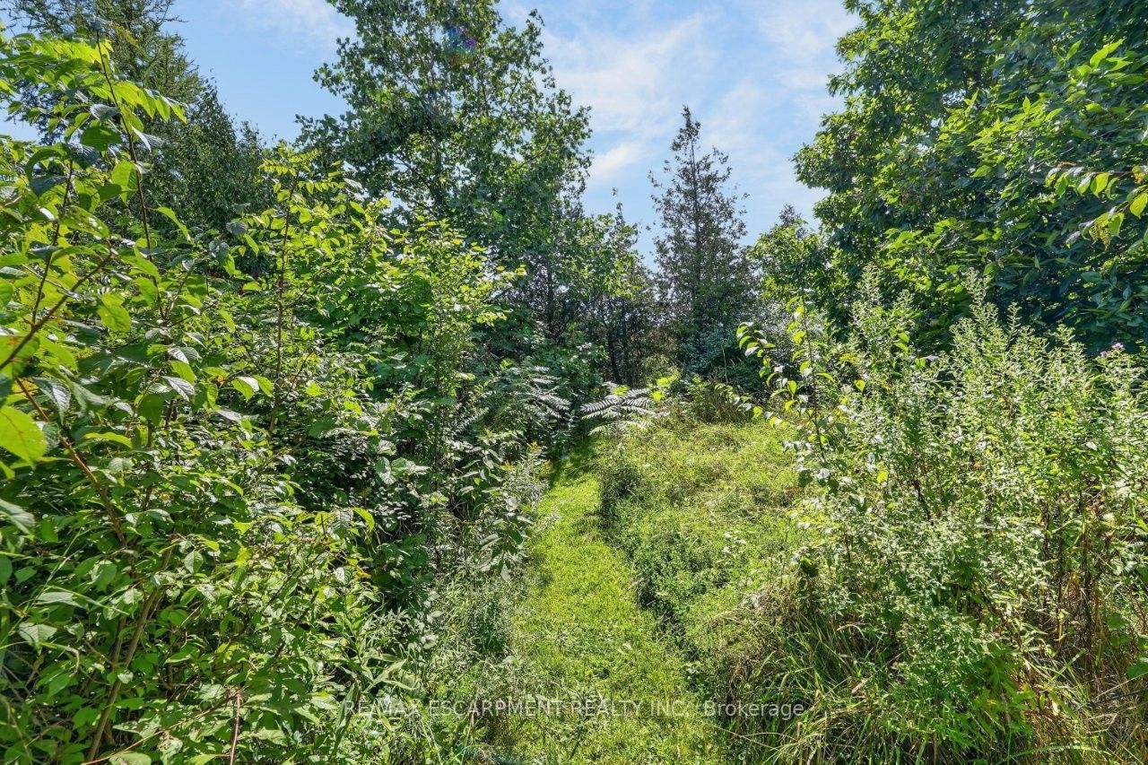 116 Russ Road Property Photo 21