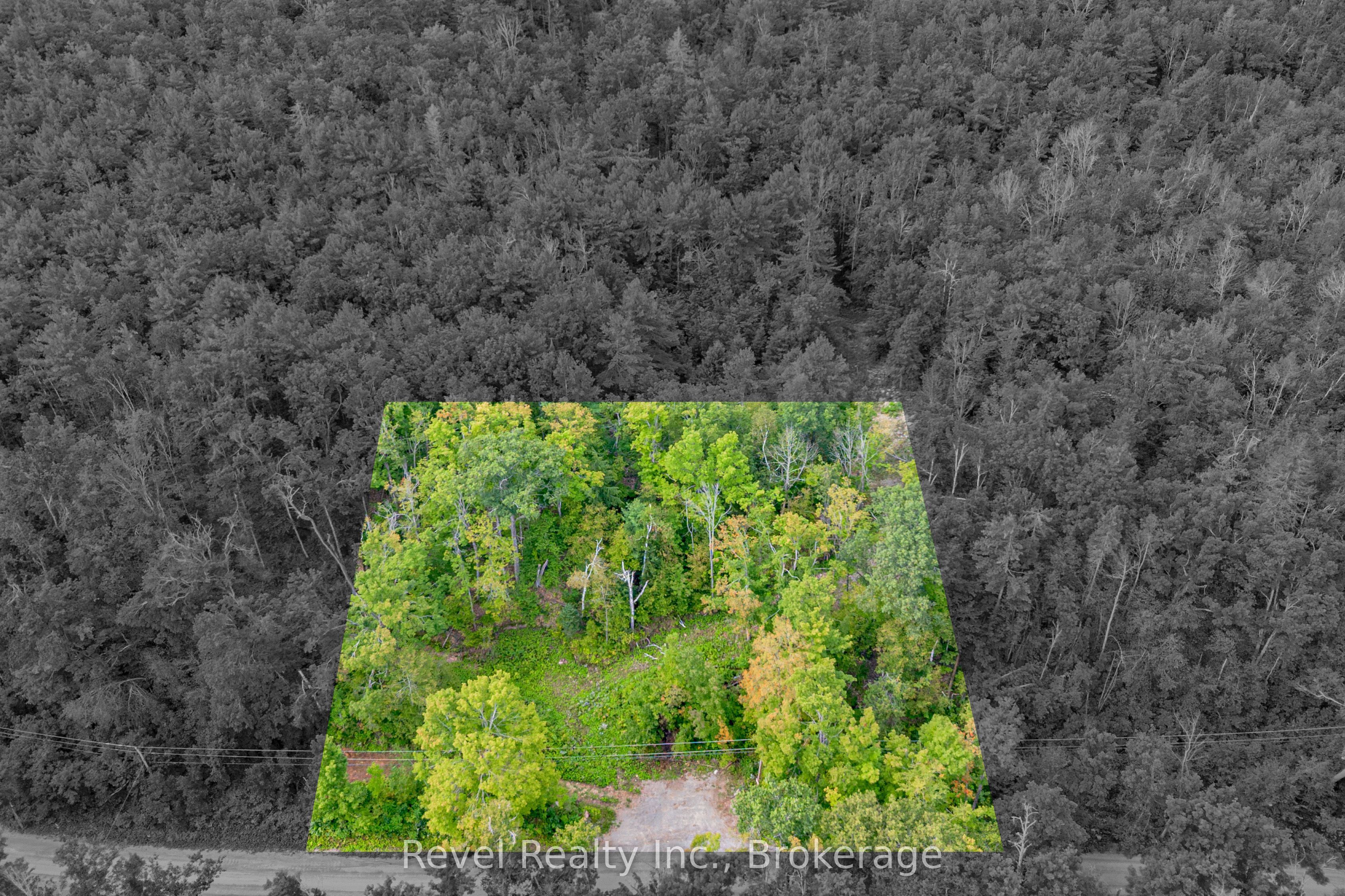 505 Bass Lake Road Lot 27 Part 1 Property Photo 10