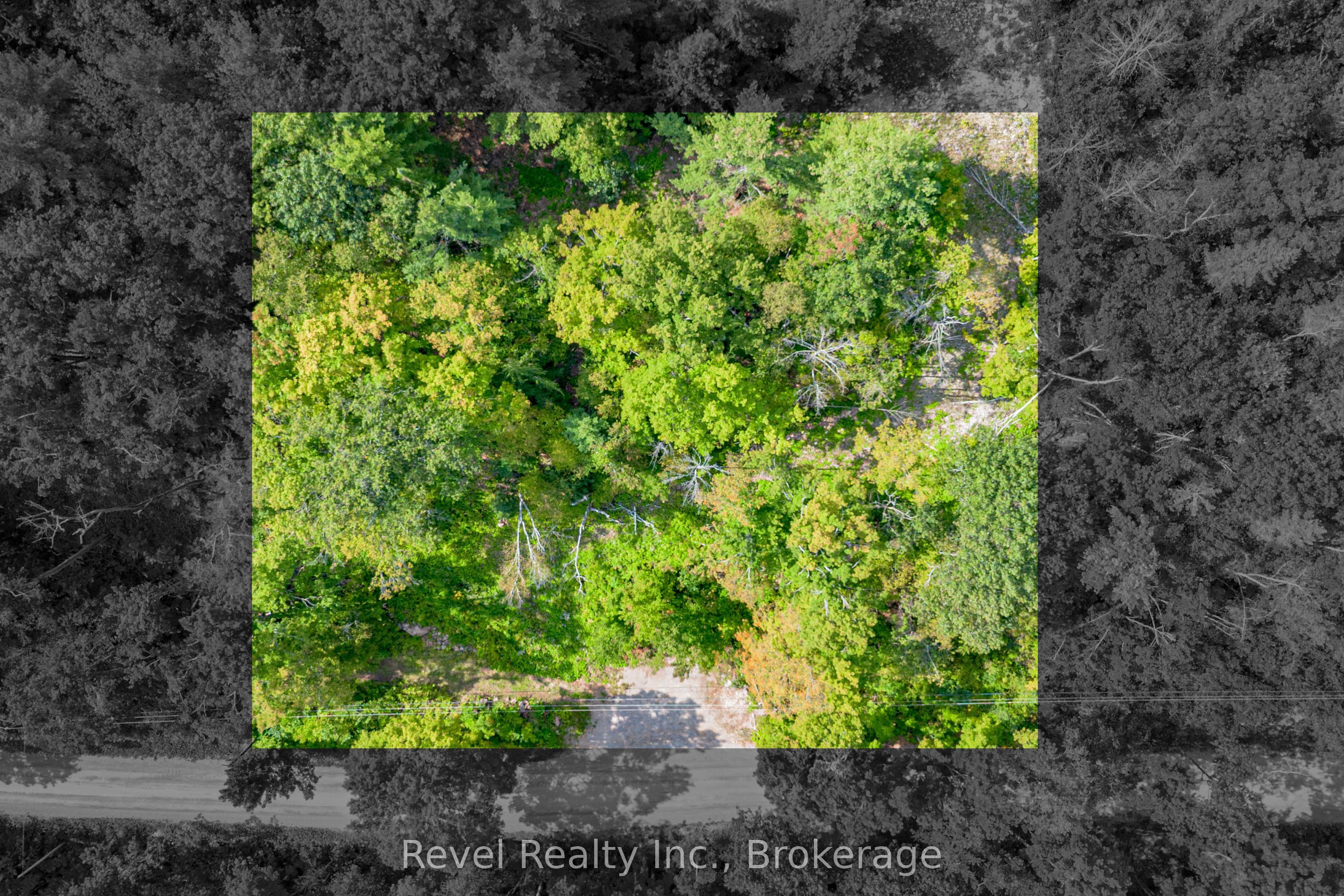 505 Bass Lake Road Lot 27 Part 1 Property Photo 11