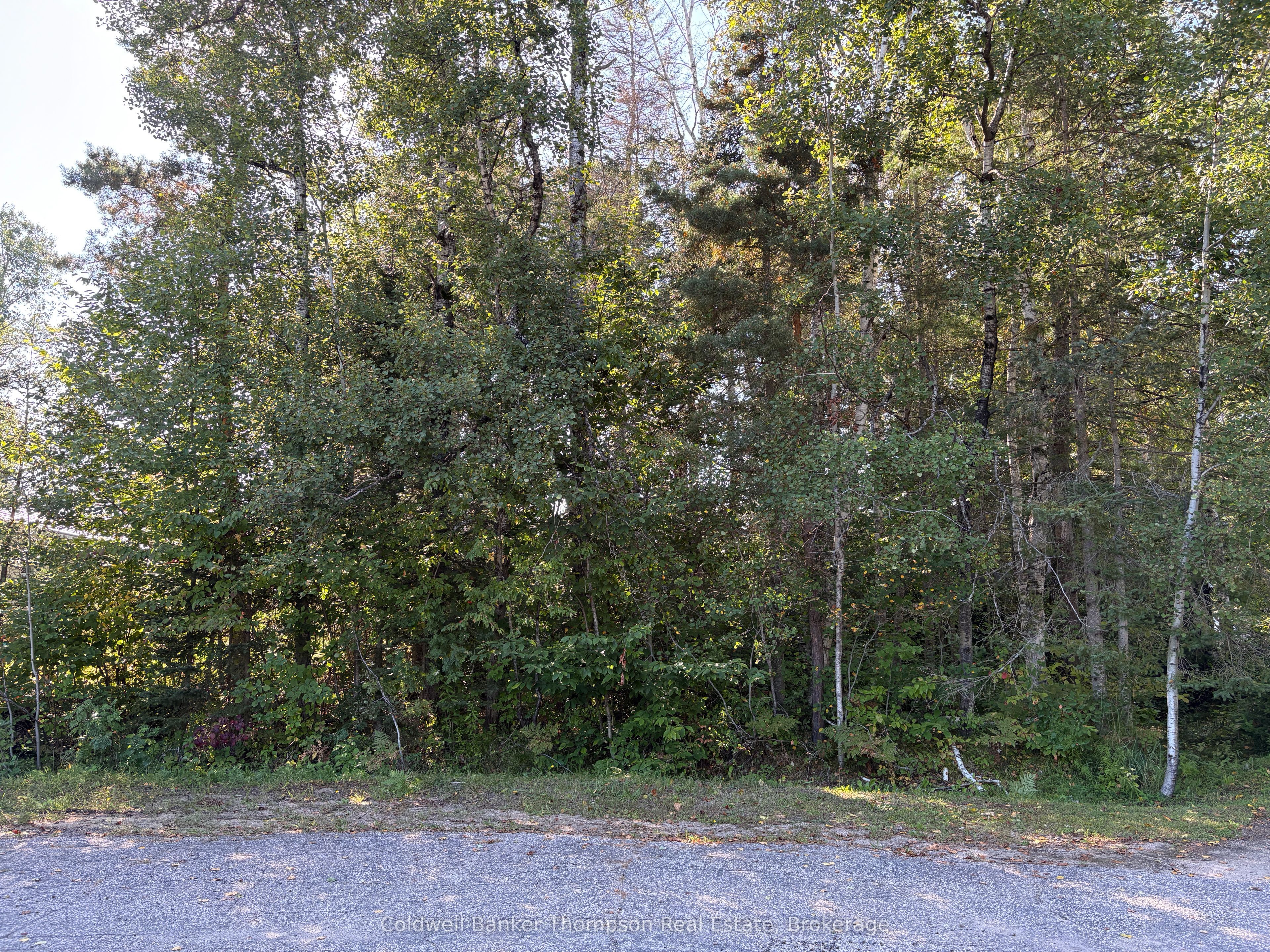 42 Tebby Boulevard Property Photo 1
