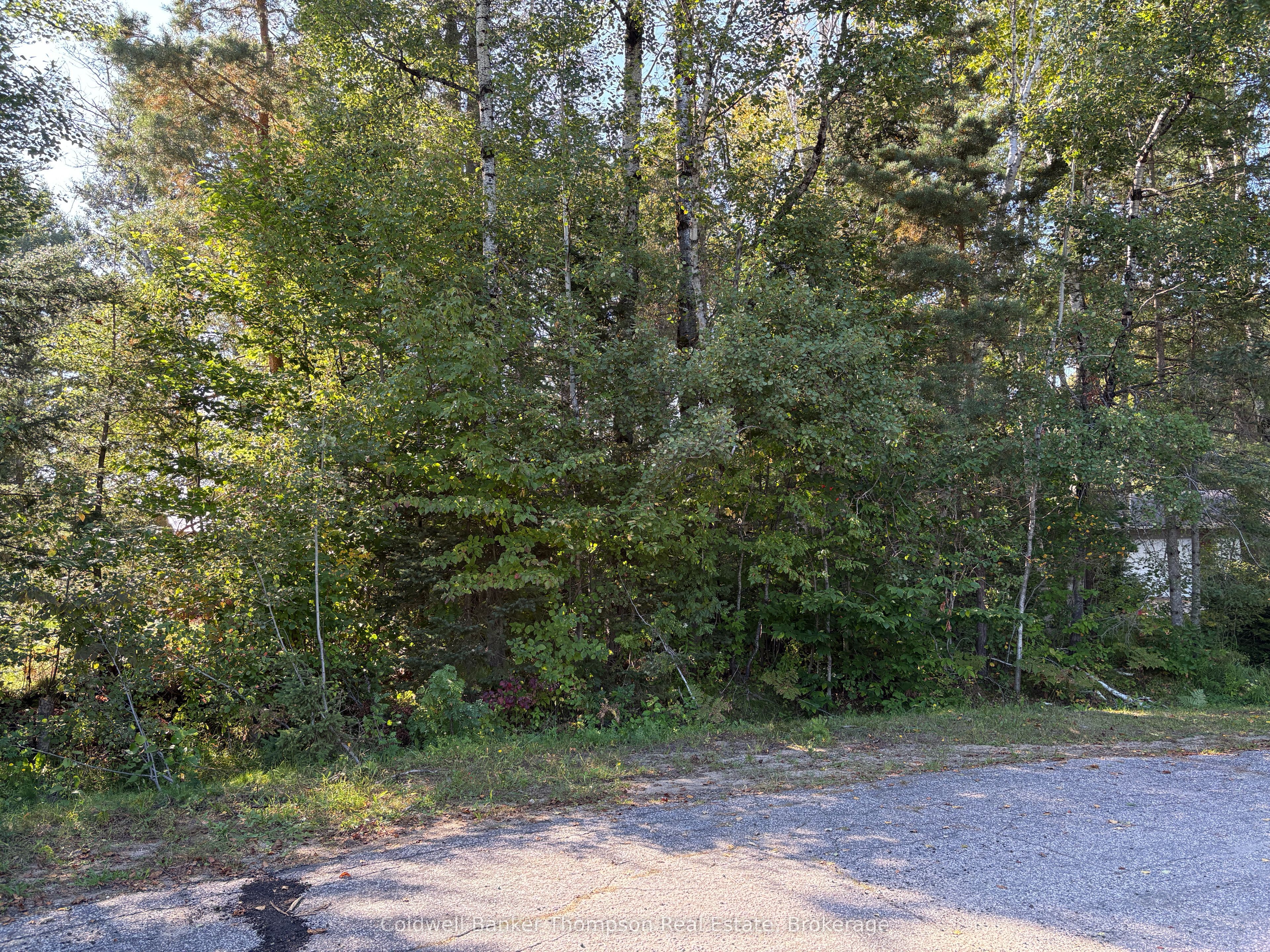 42 Tebby Boulevard Property Photo 2