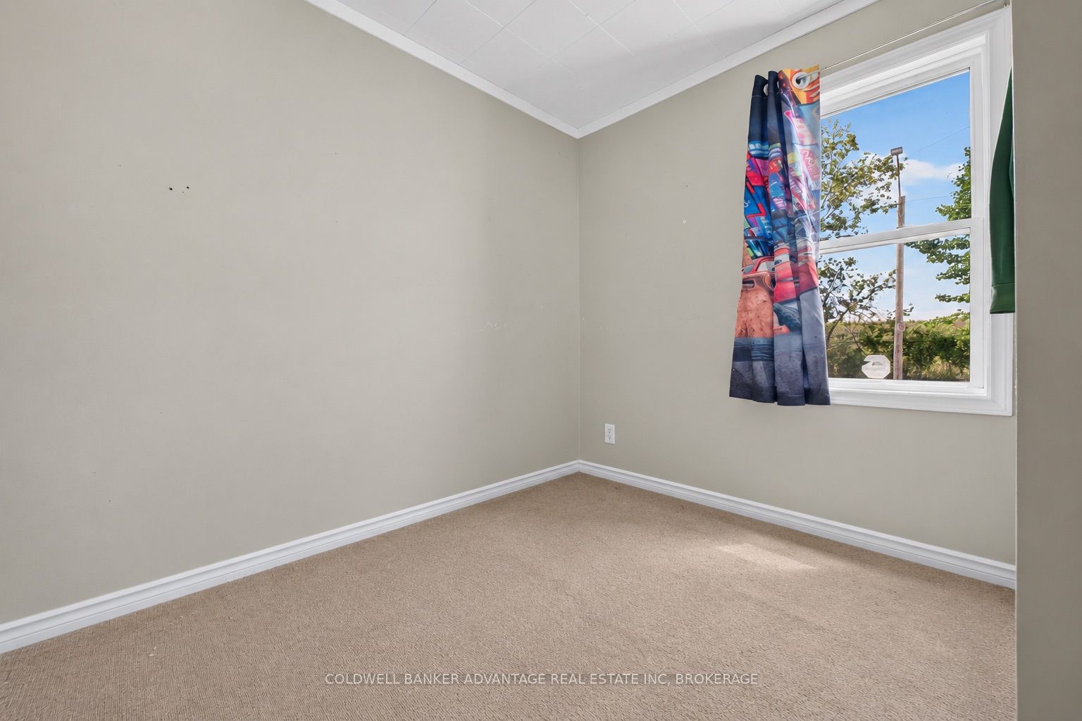 229 Dain Avenue Property Photo 15