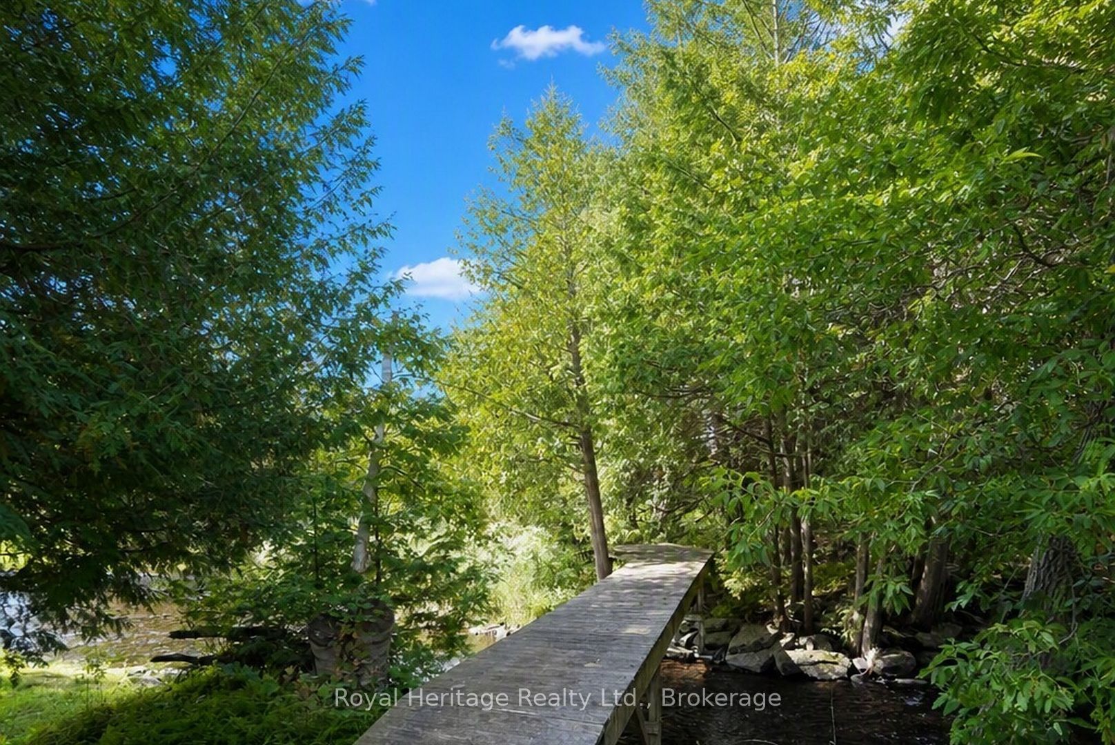 215 Fifth Line Dummer South Road Property Photo 37