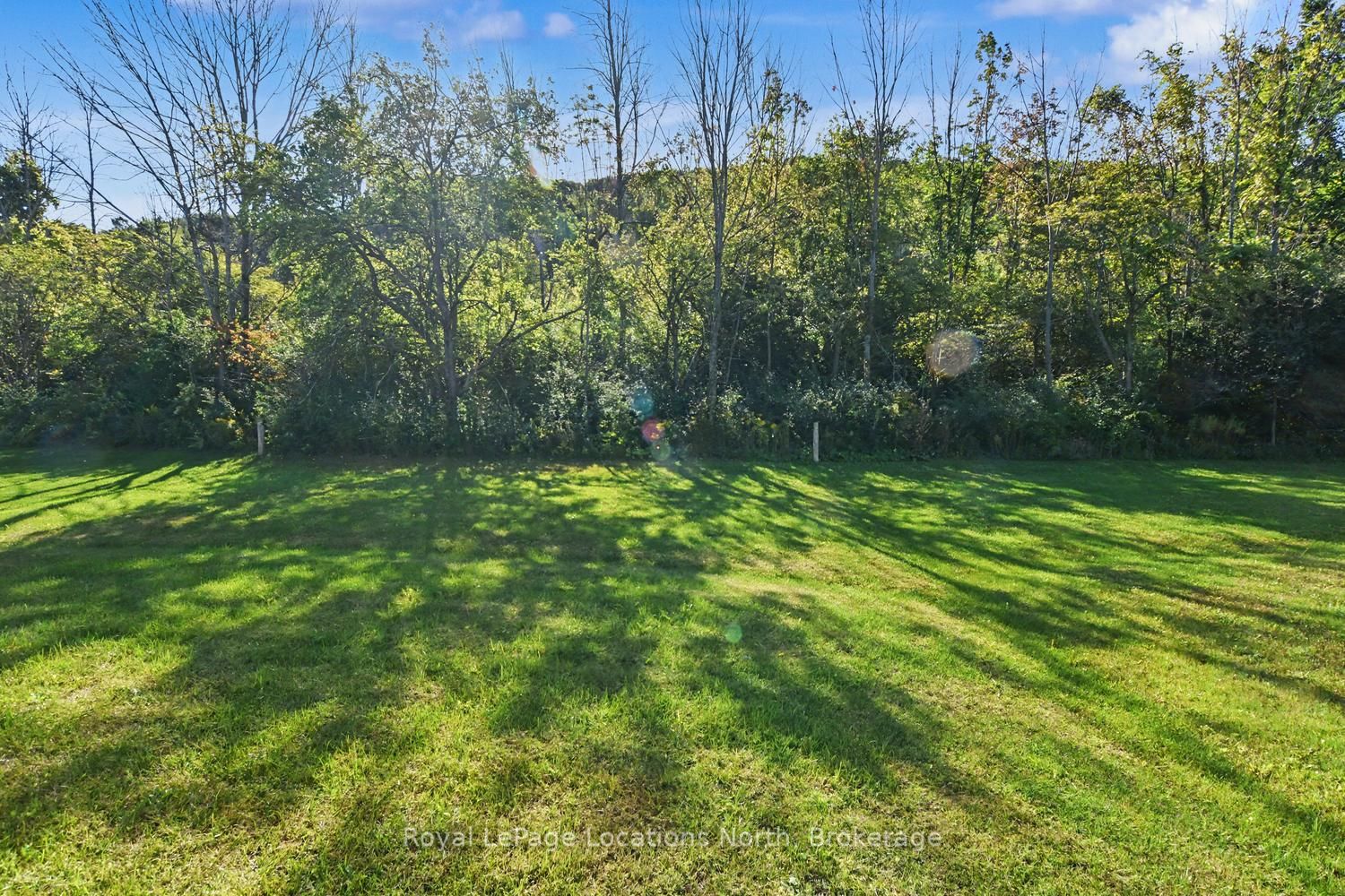 120 Dorothy Drive Property Photo 3