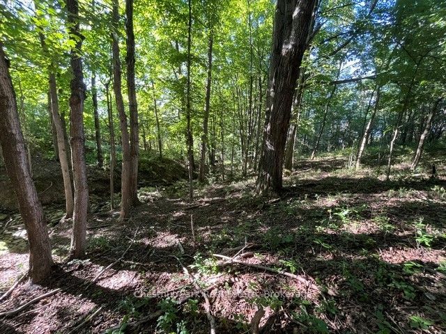 Pt Lt 8 7th Line Property Photo 5