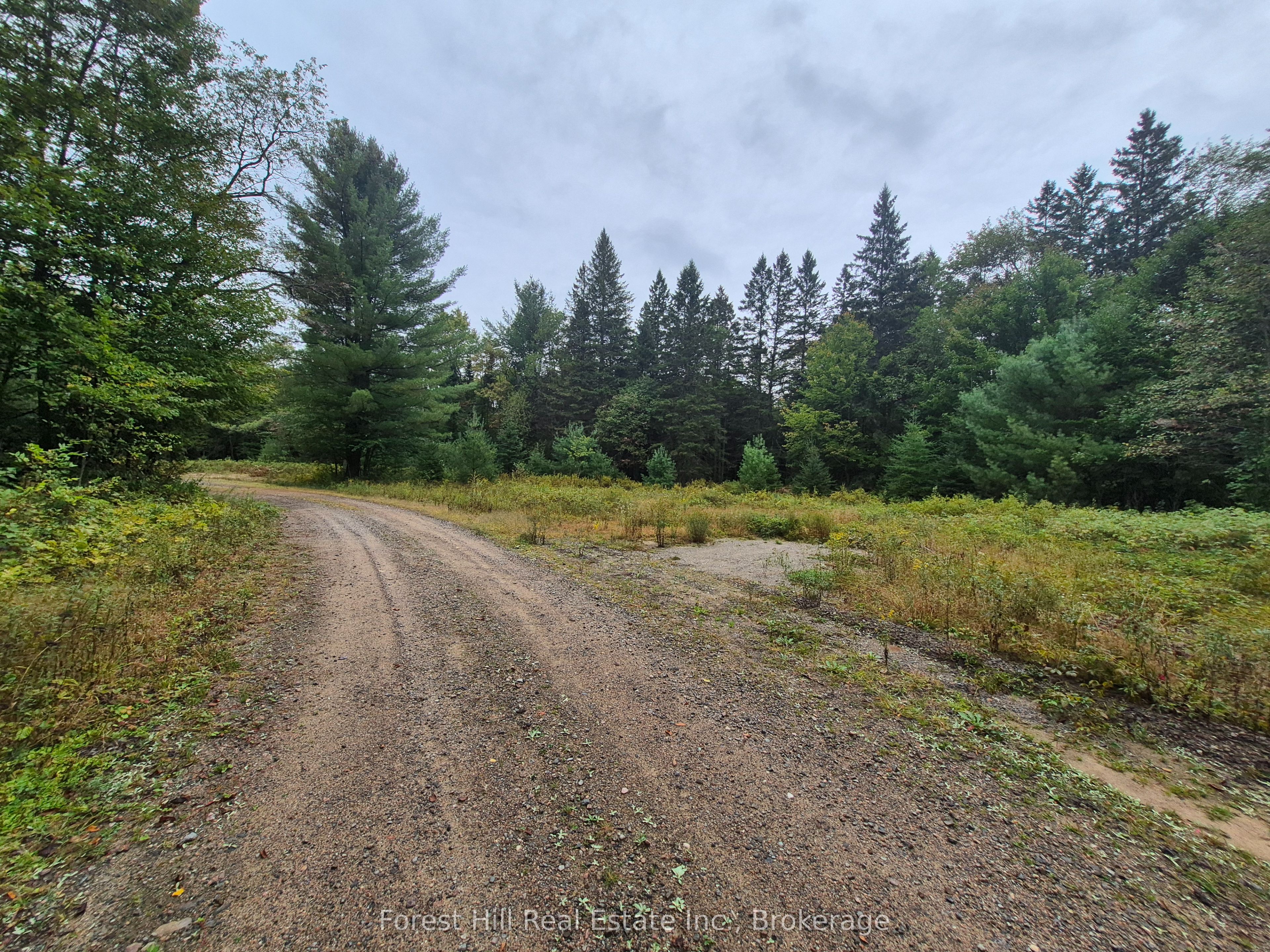 335 Woodland Drive Property Photo 2