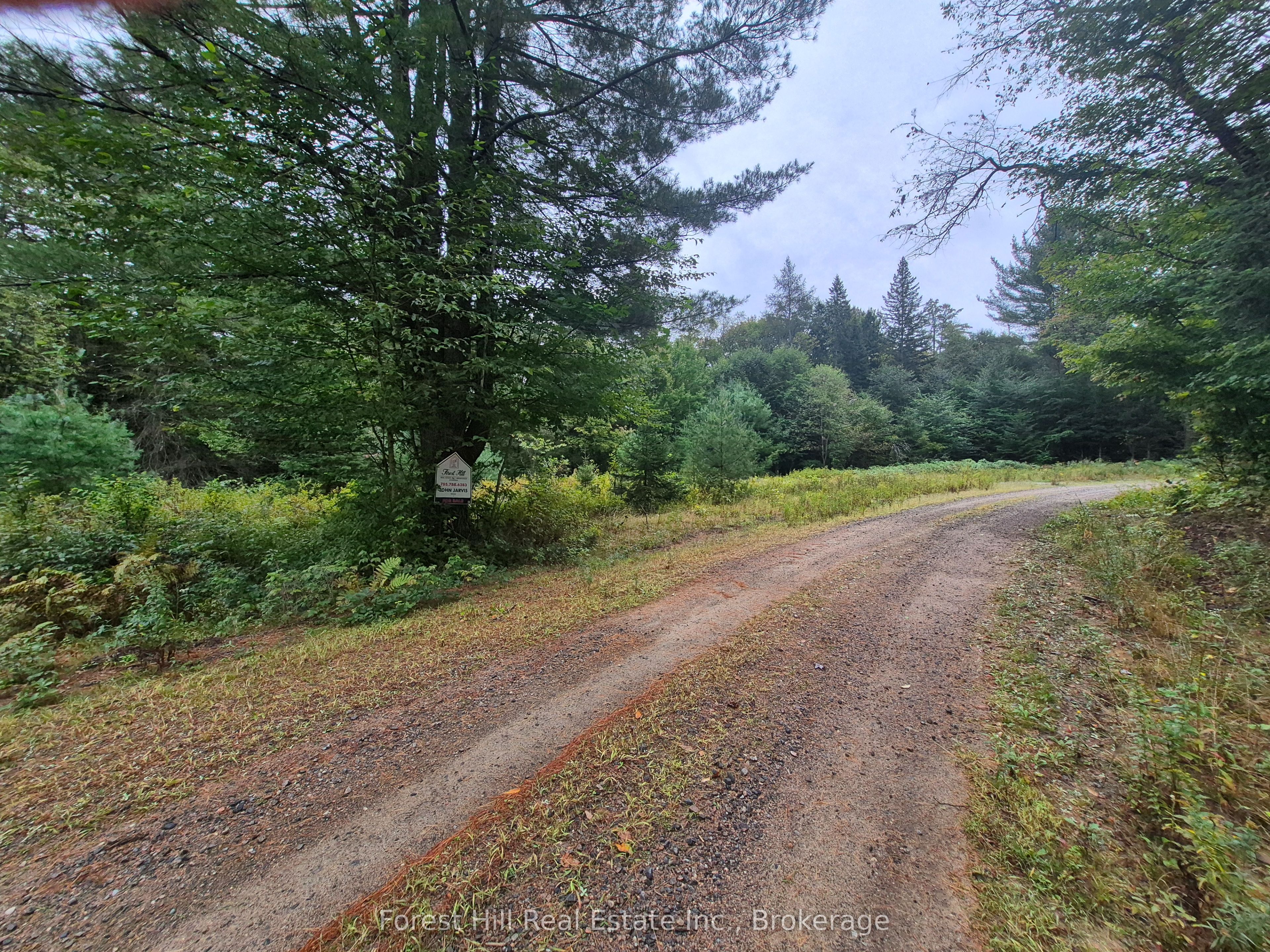 335 Woodland Drive Property Photo 7