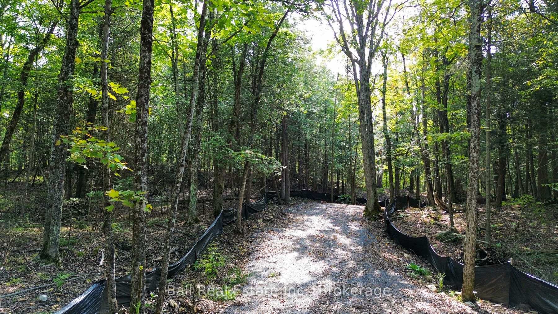85 Fire Route 19c Route Property Photo 6