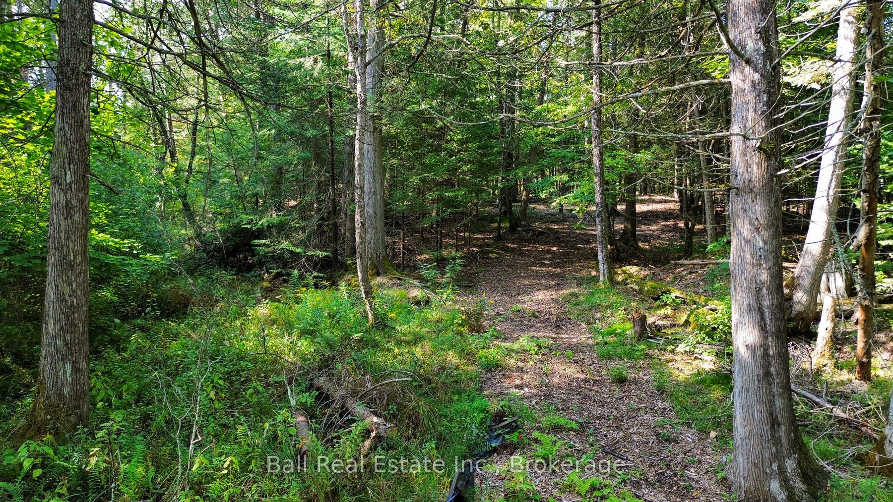 85 Fire Route 19c Route Property Photo 10