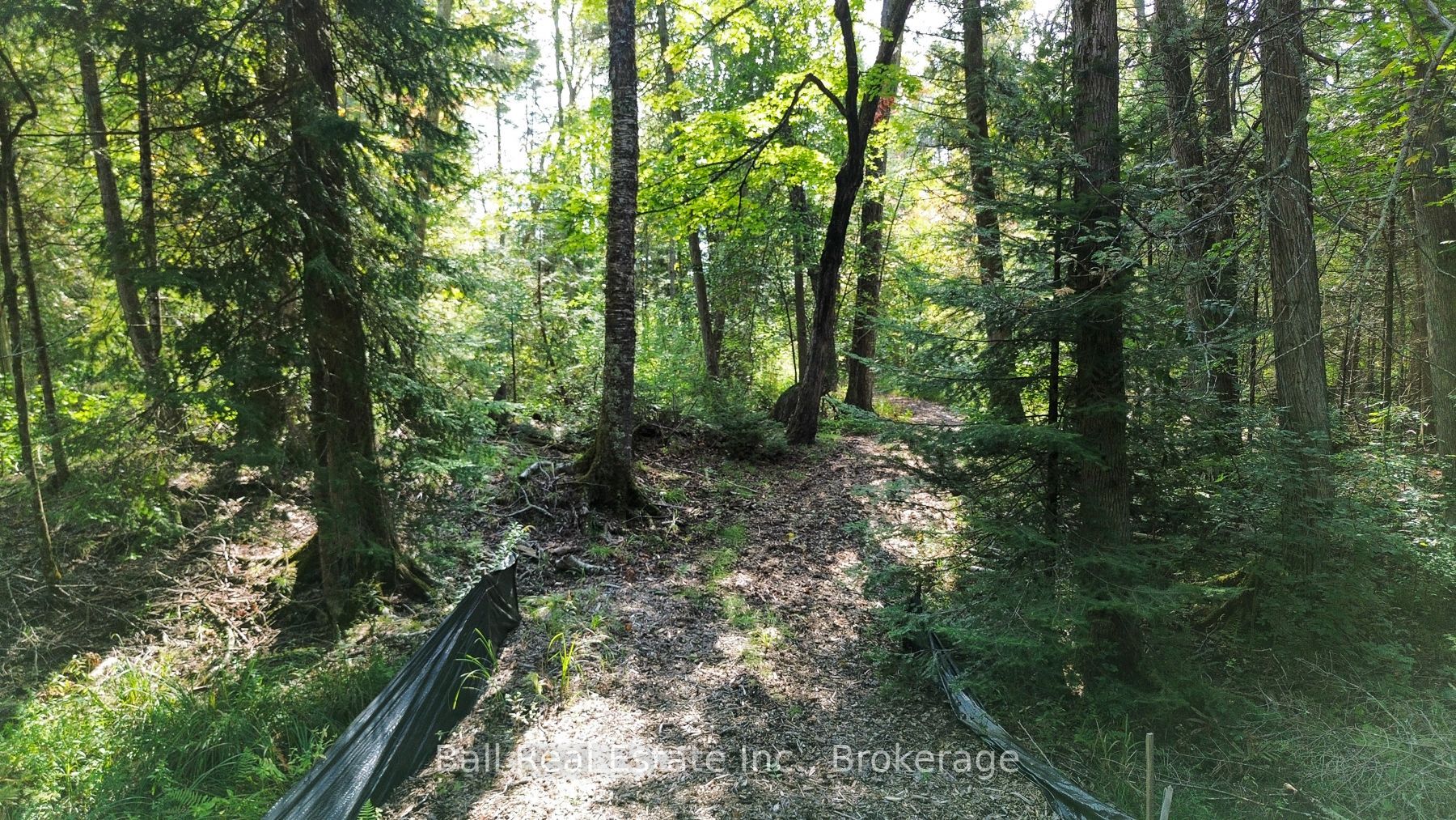 85 Fire Route 19c Route Property Photo 11