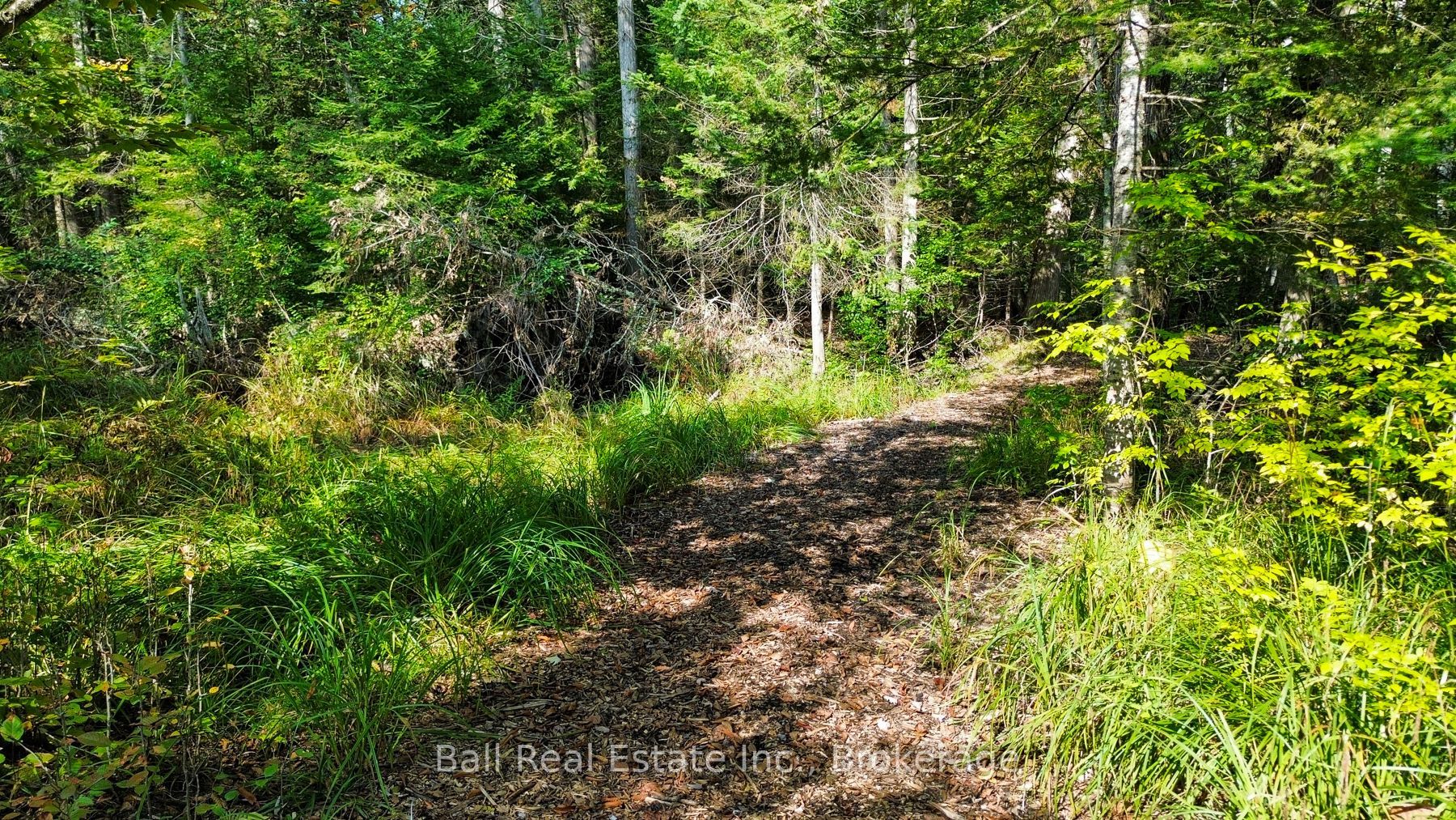 85 Fire Route 19c Route Property Photo 12