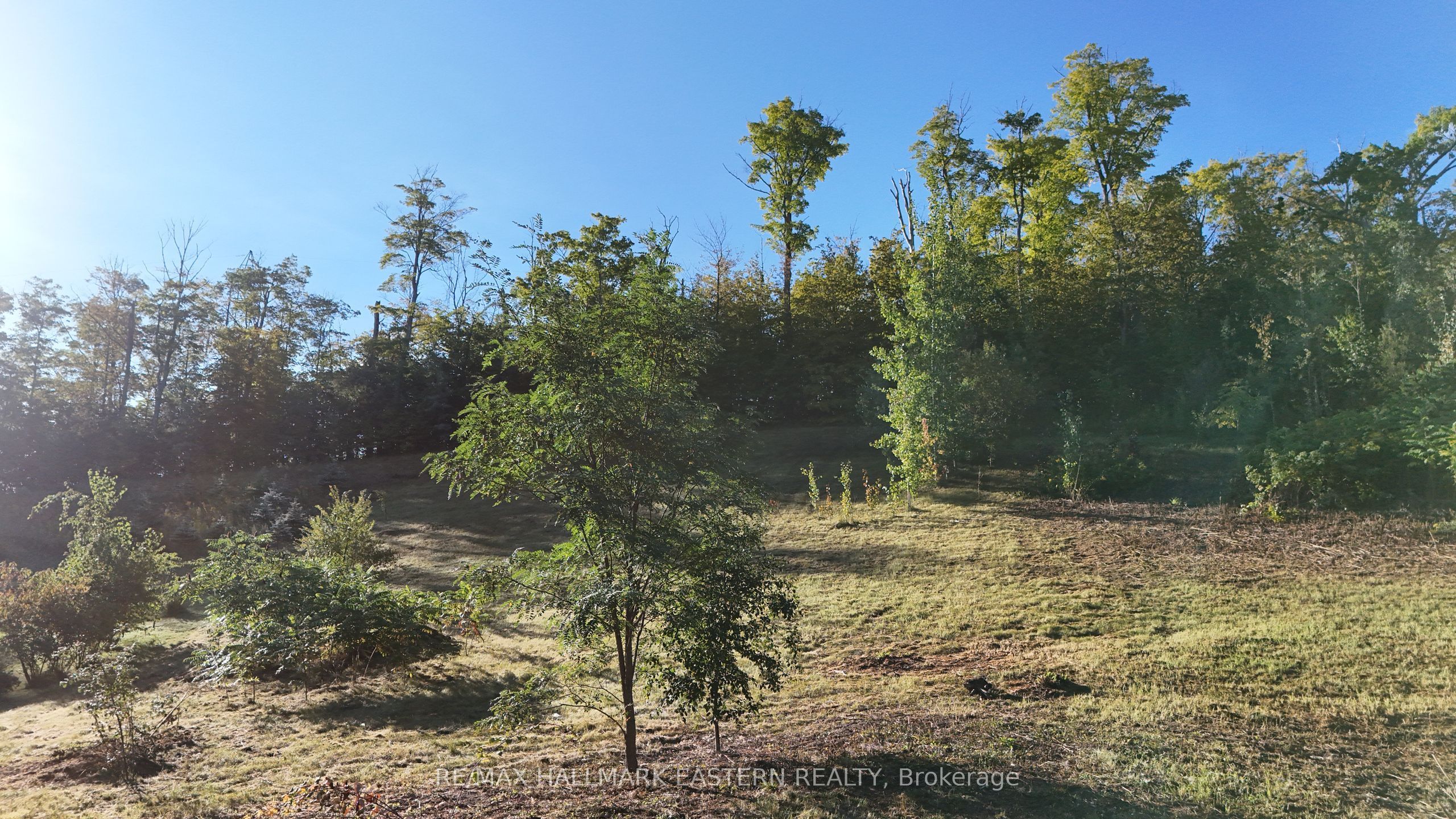 406 Country Lane Property Photo 15
