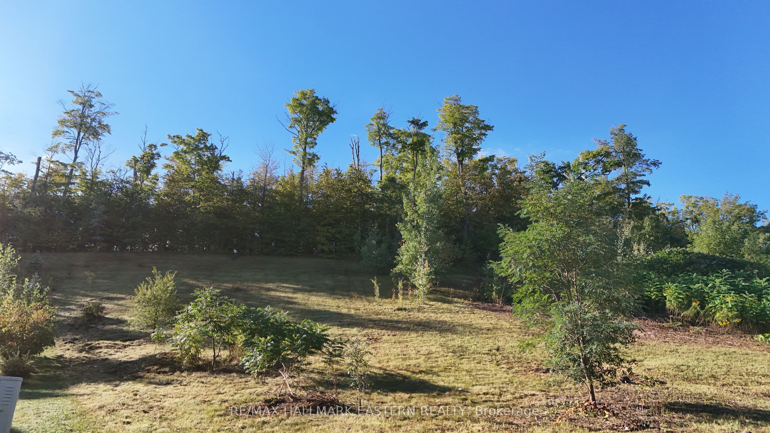 406 Country Lane Property Photo 16