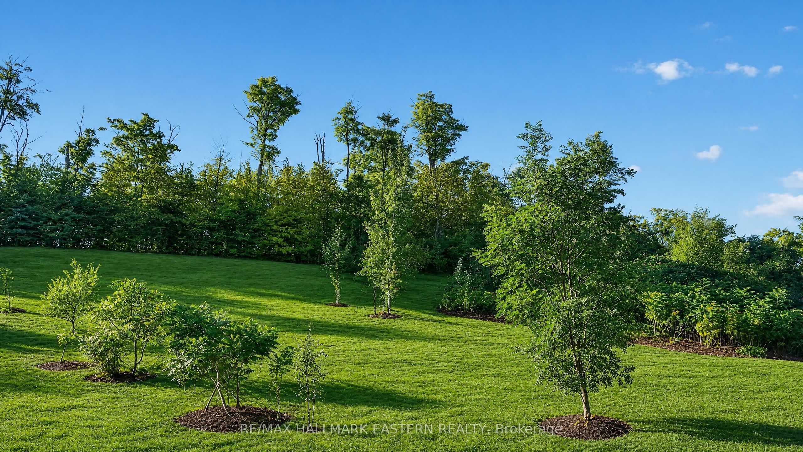 406 Country Lane Property Photo 17