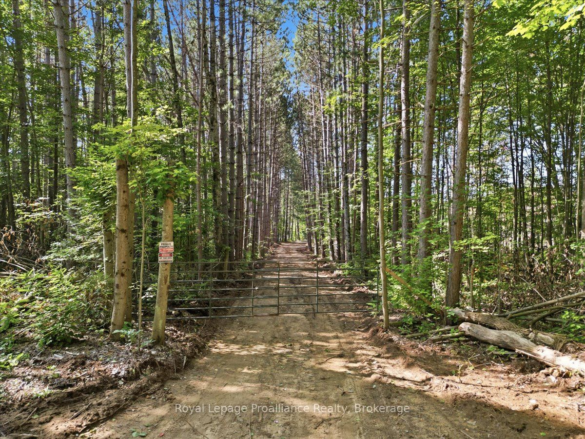 292 Hartin Road Property Photo 1
