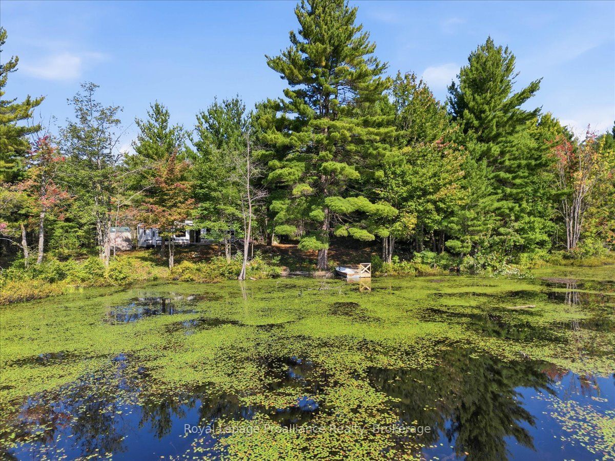 292 Hartin Road Property Photo 3