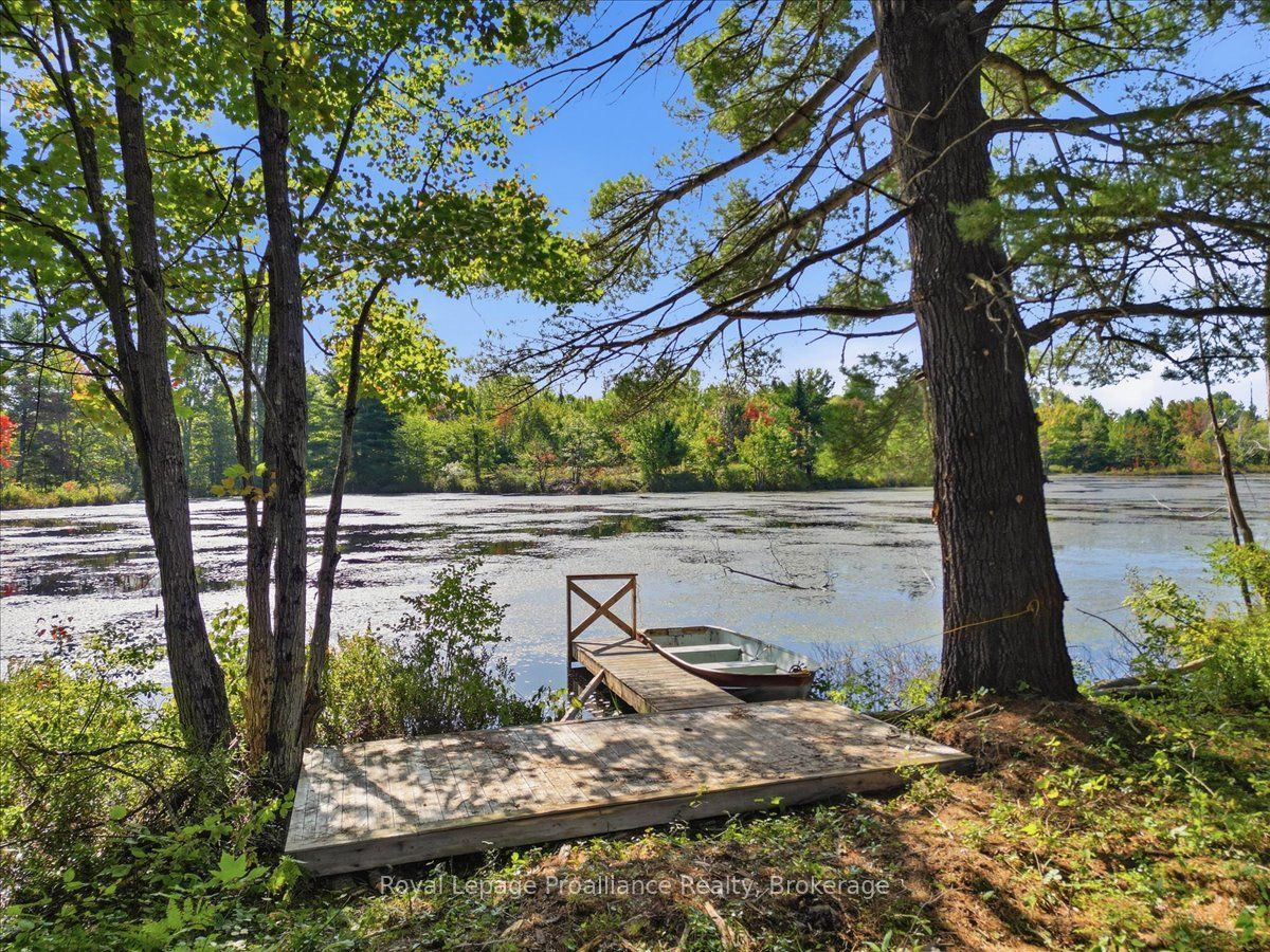 292 Hartin Road Property Photo 10