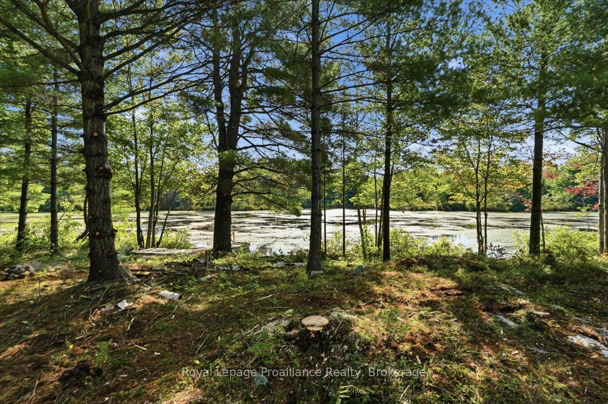292 Hartin Road Property Photo 11