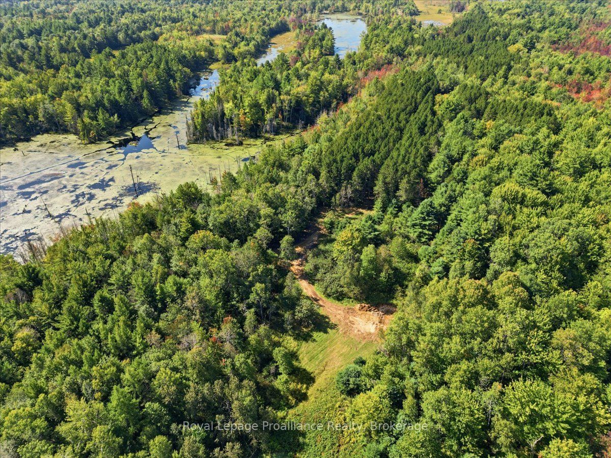 292 Hartin Road Property Photo 14