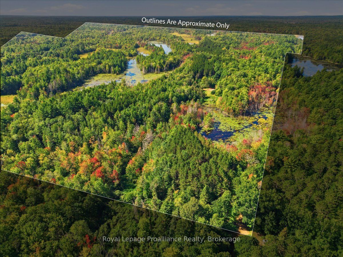 292 Hartin Road Property Photo 18