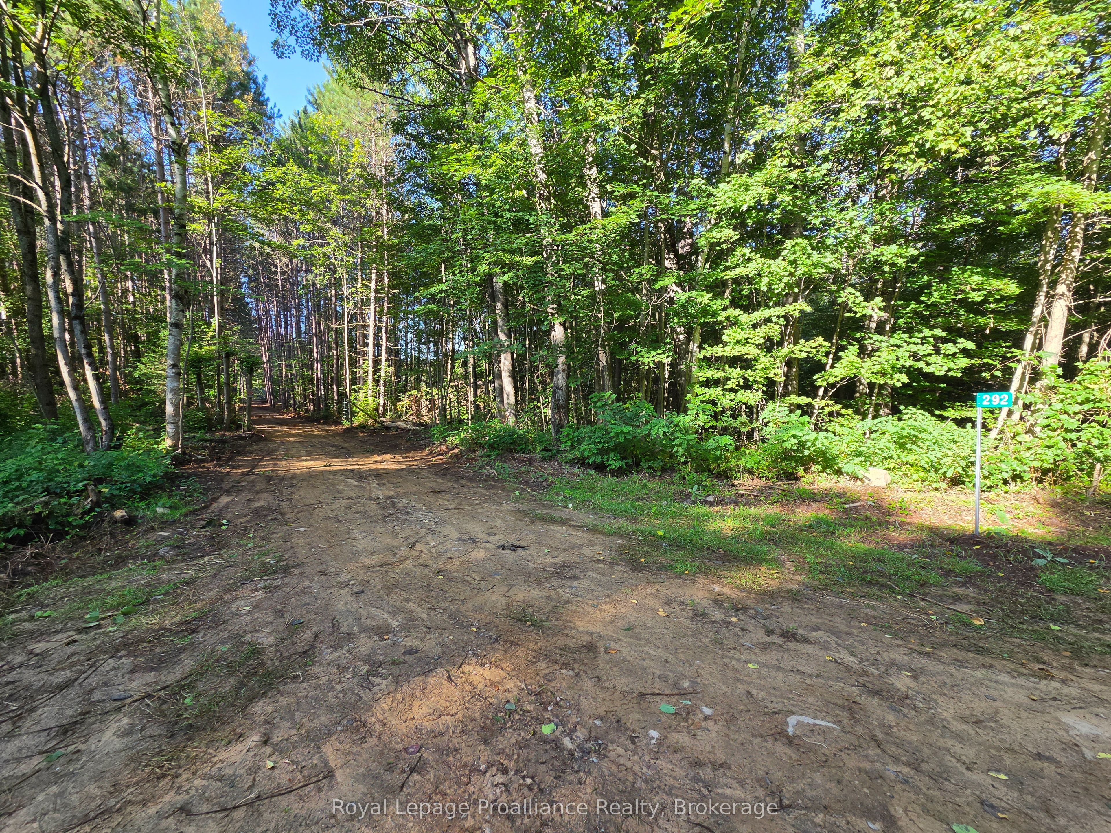 292 Hartin Road Property Photo 19