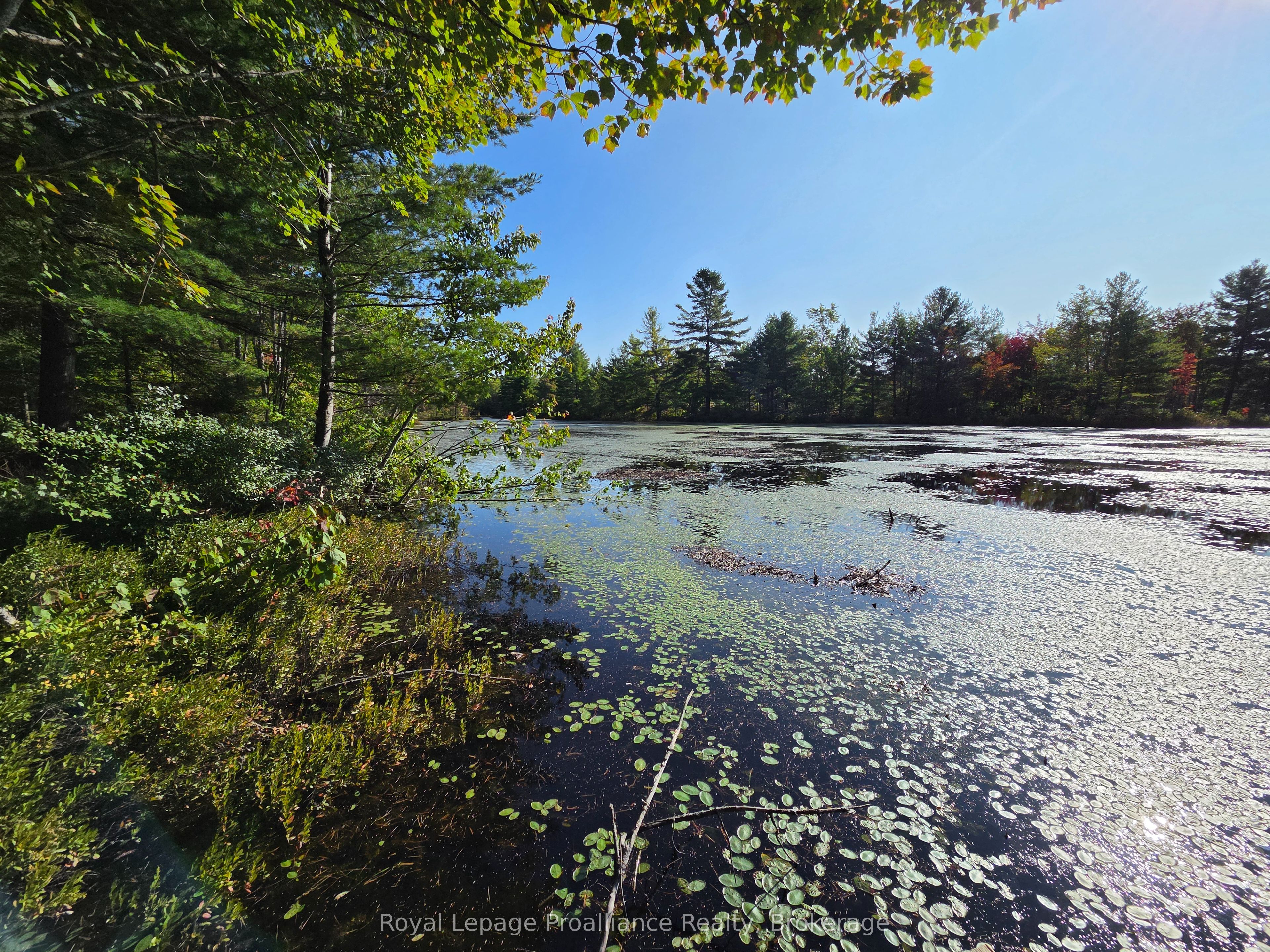 292 Hartin Road Property Photo 25