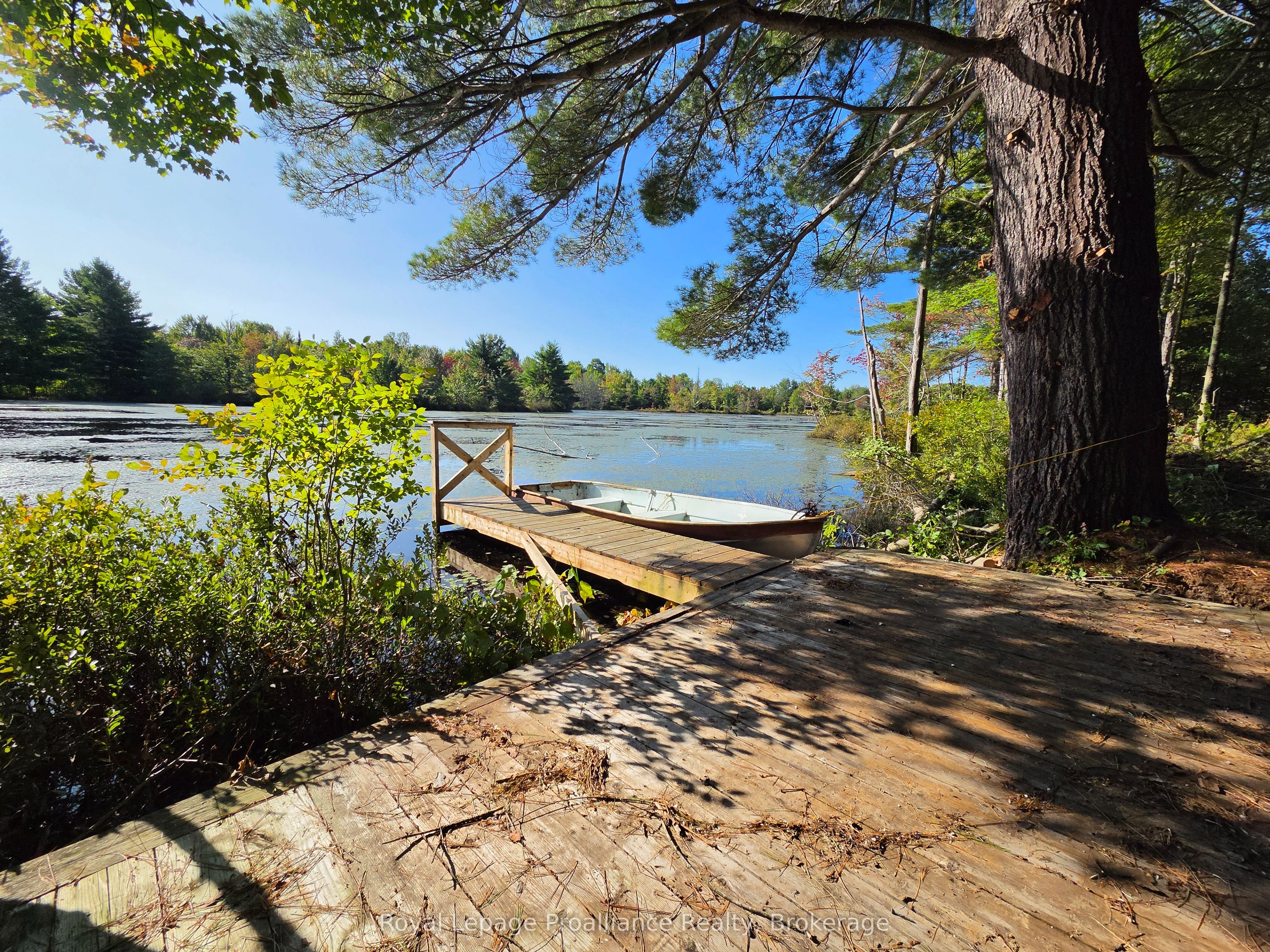 292 Hartin Road Property Photo 27